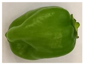 Horticulturae 08 00428 i001