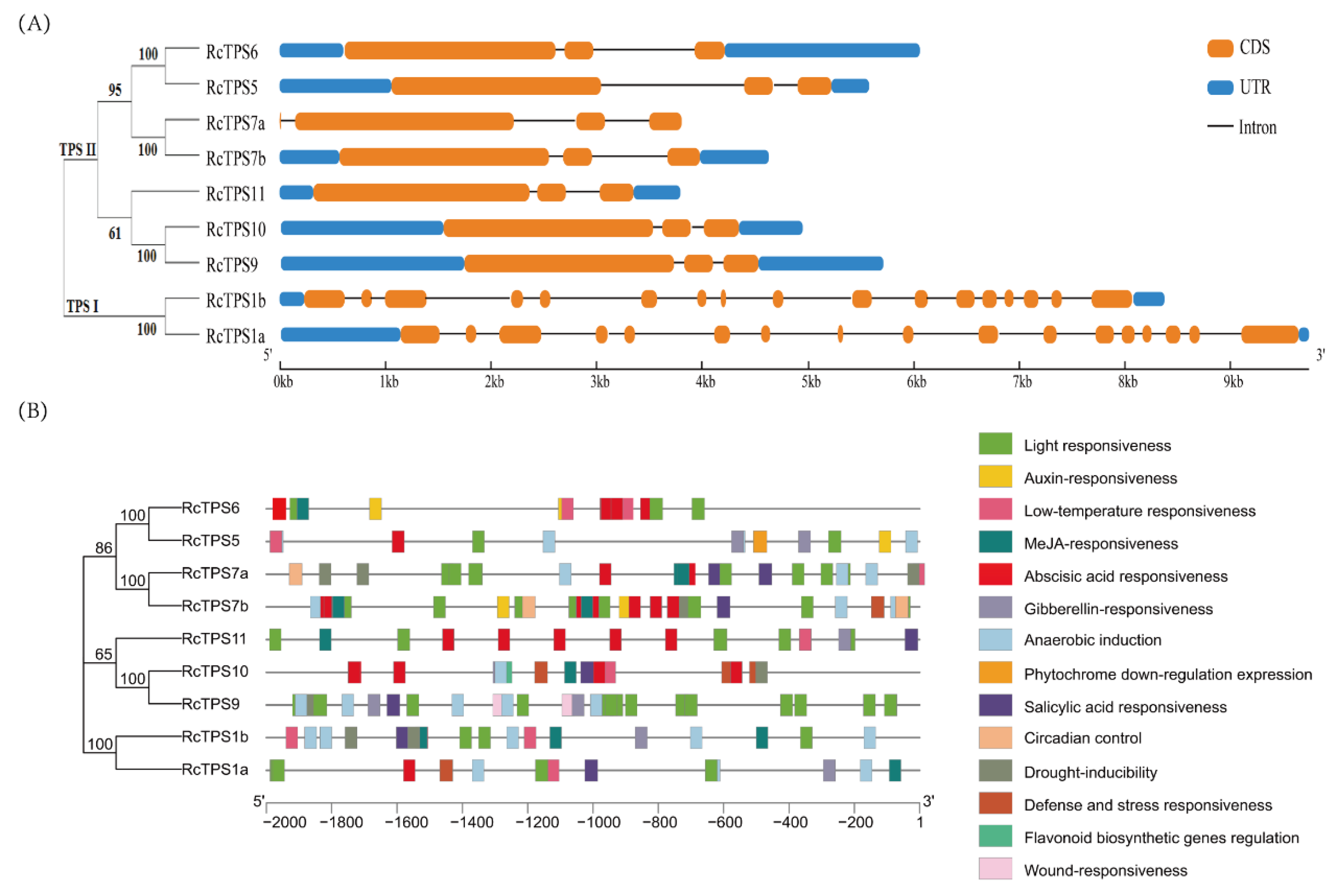 Horticulturae 08 00429 g003