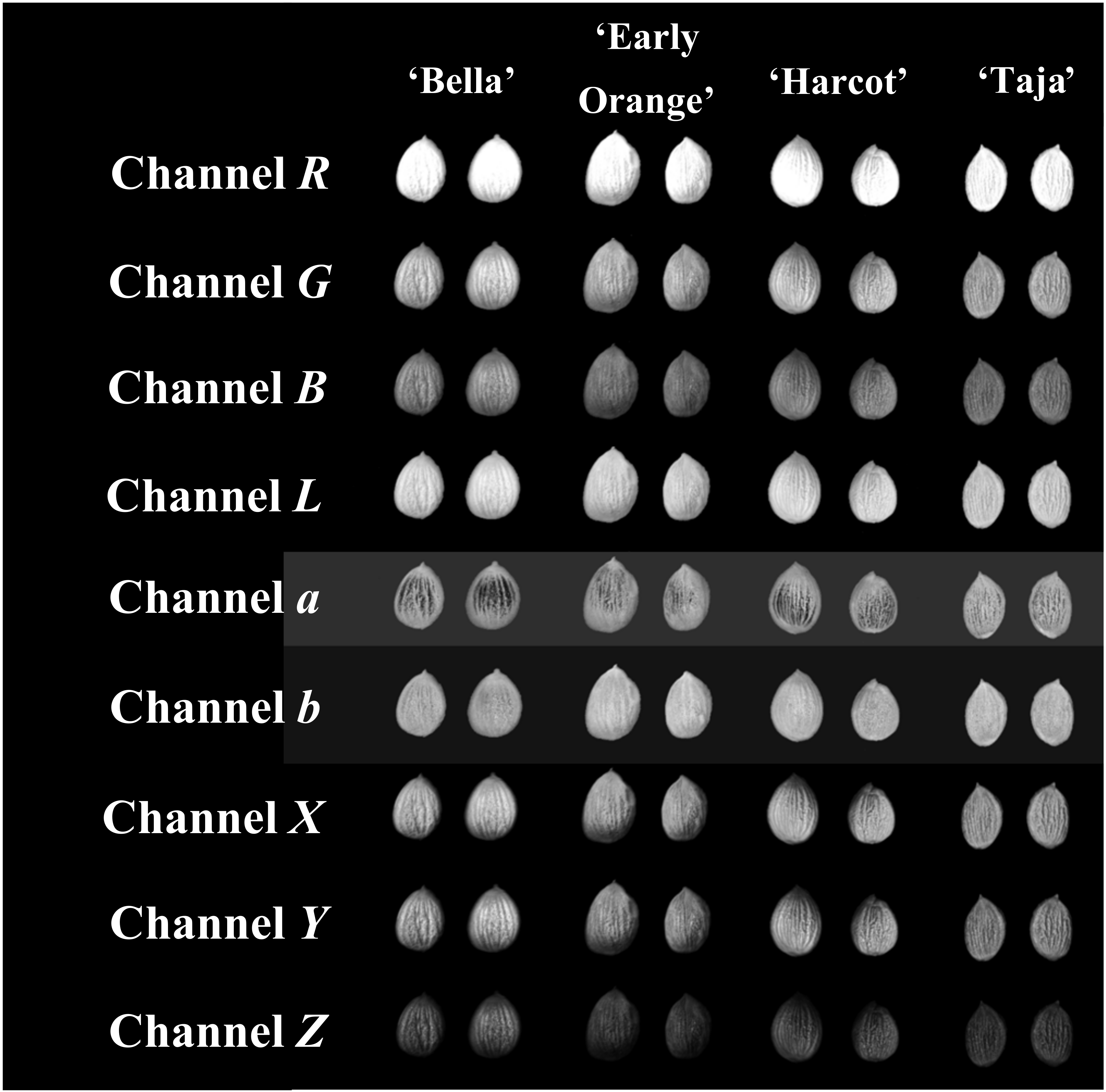 Horticulturae 08 00431 g002 550