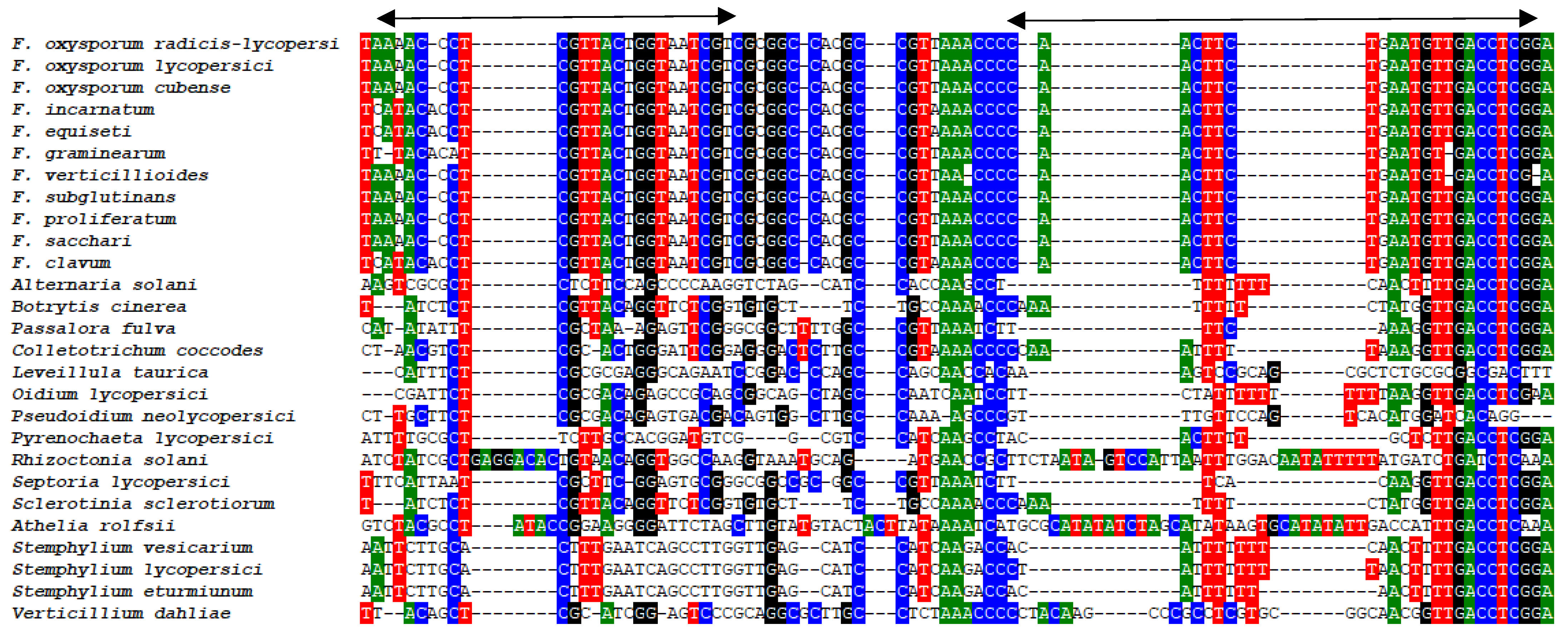 Horticulturae 08 00433 g001 Horticulturae 08 00433 g001