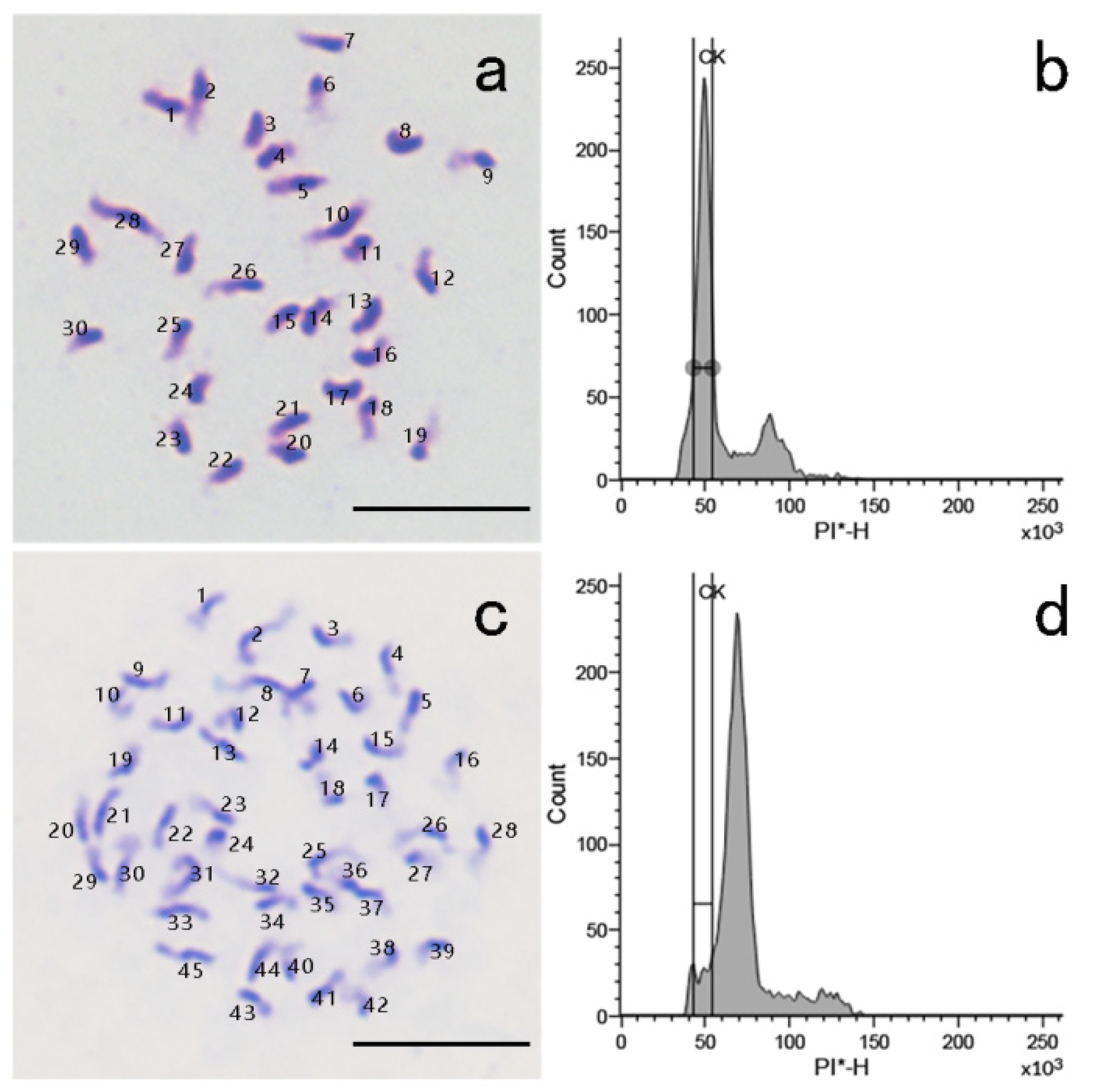 Horticulturae 08 00437 g006