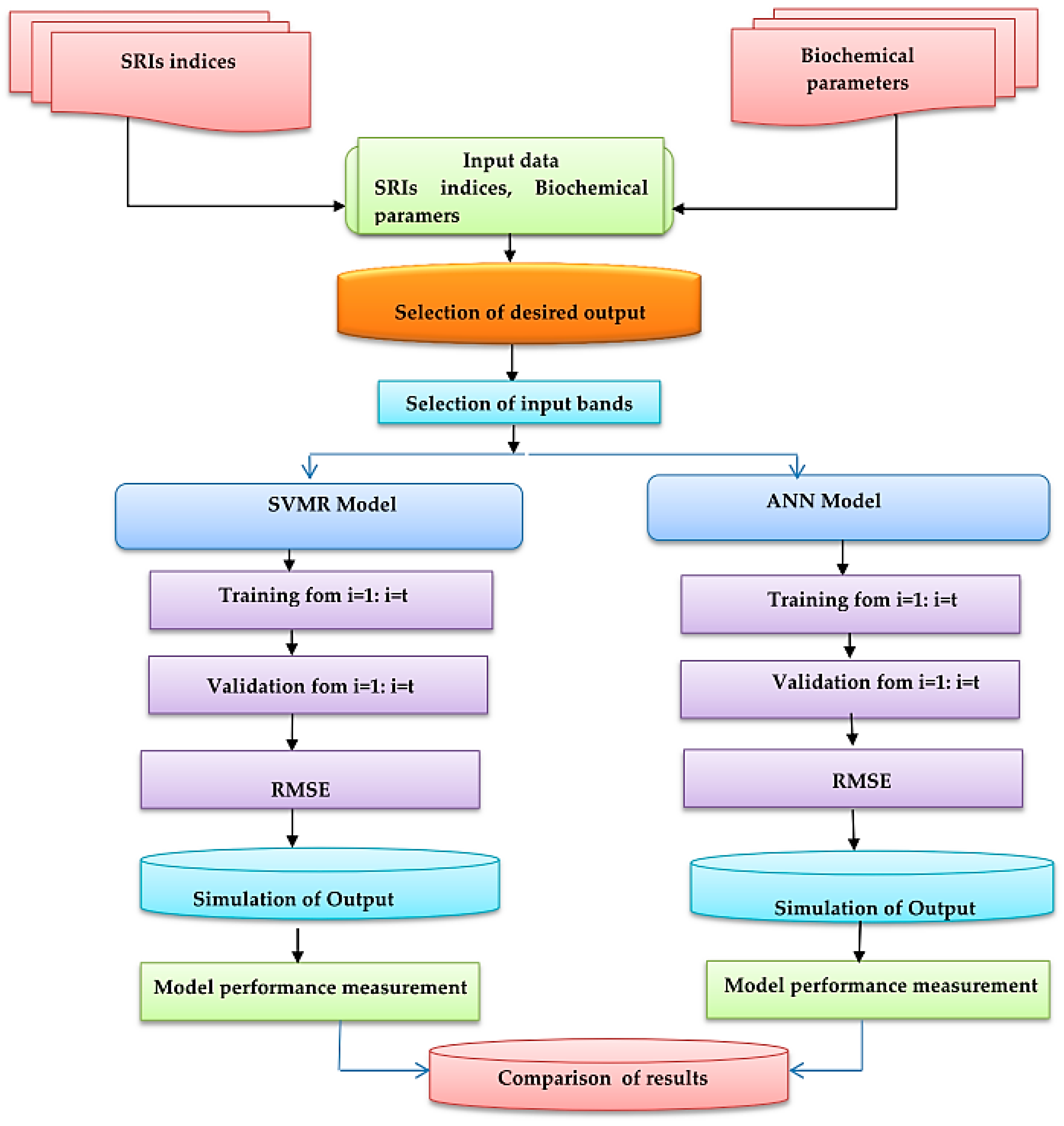Horticulturae 08 00438 g002