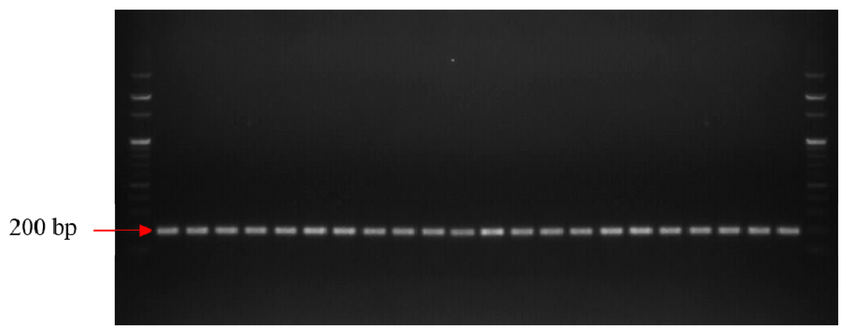 Horticulturae 08 00441 g001 Horticulturae 08 00441 g001
