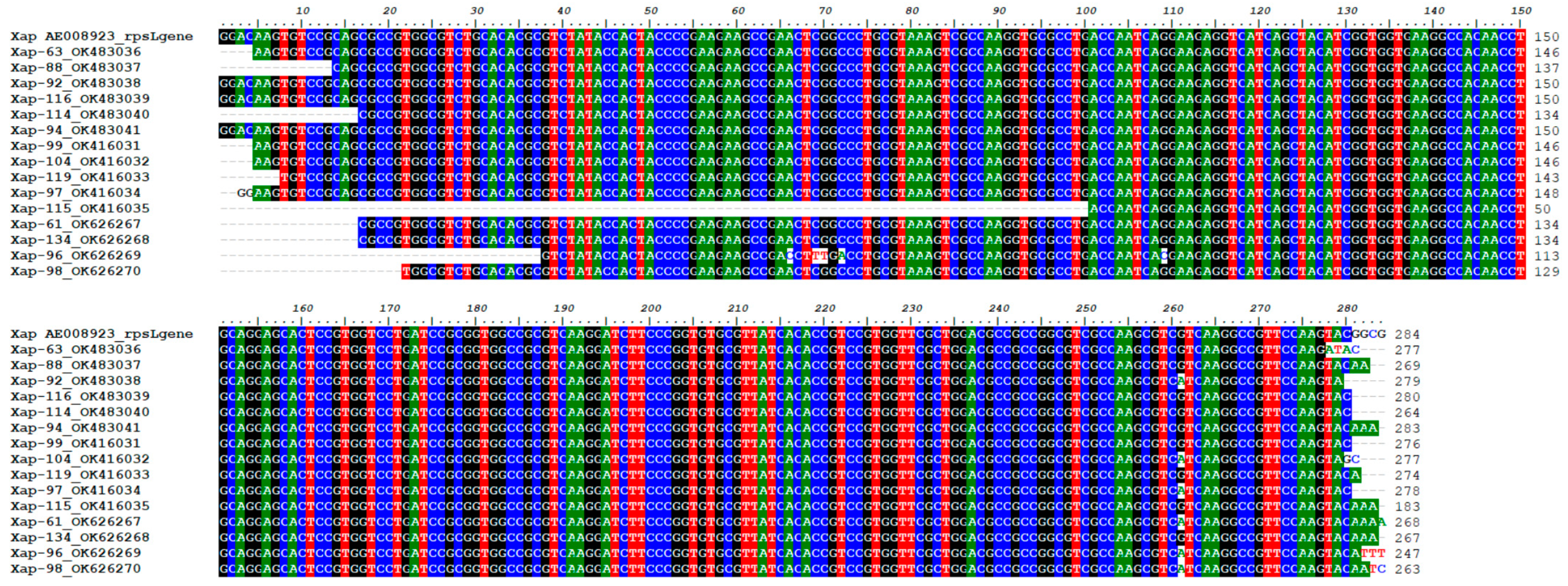 Horticulturae 08 00441 g005 Horticulturae 08 00441 g005