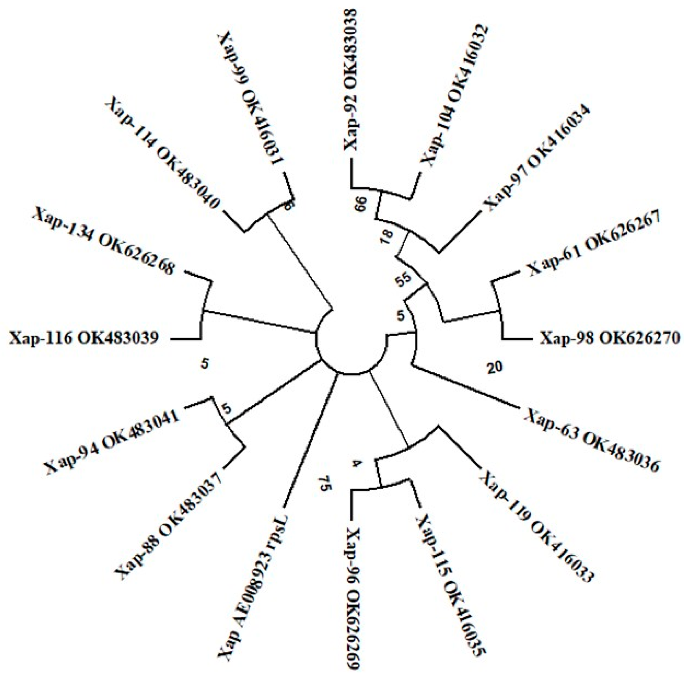 Horticulturae 08 00441 g007 Horticulturae 08 00441 g007