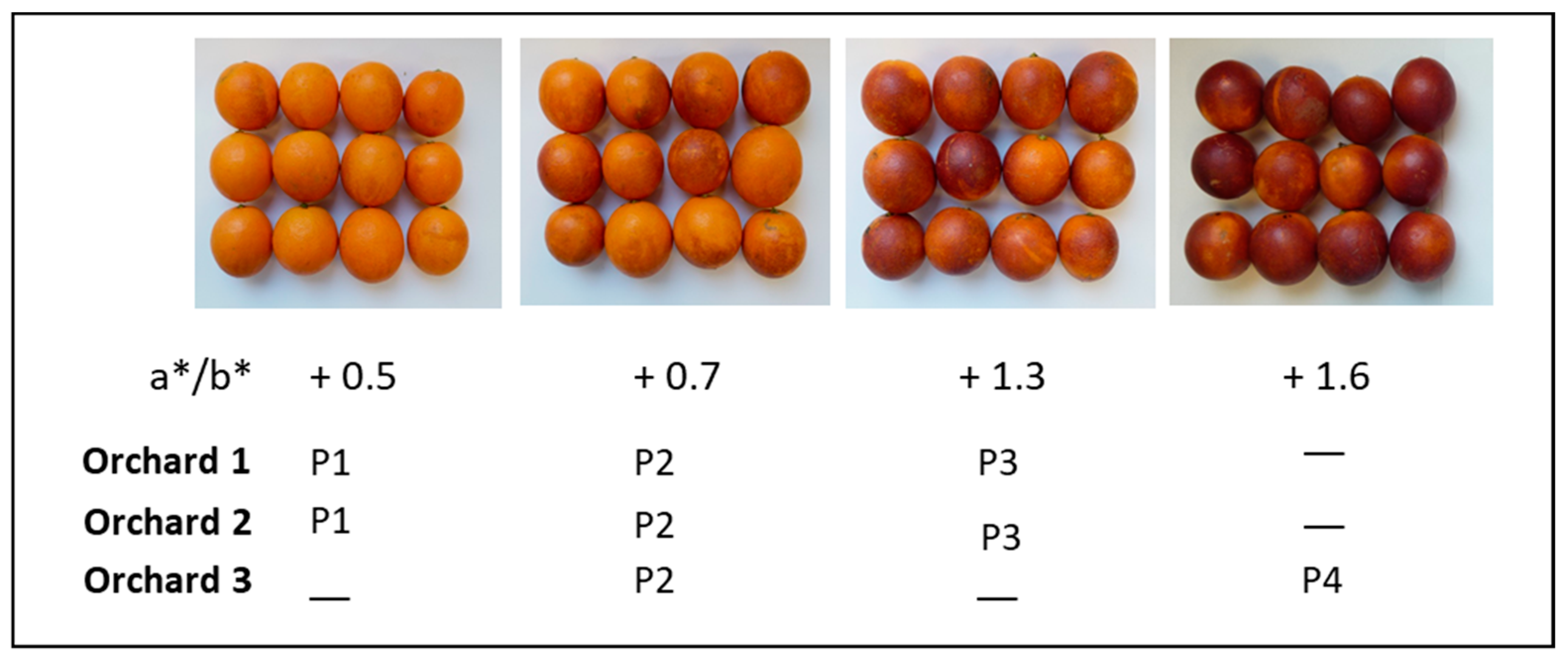 Horticulturae 08 00448 g001 550