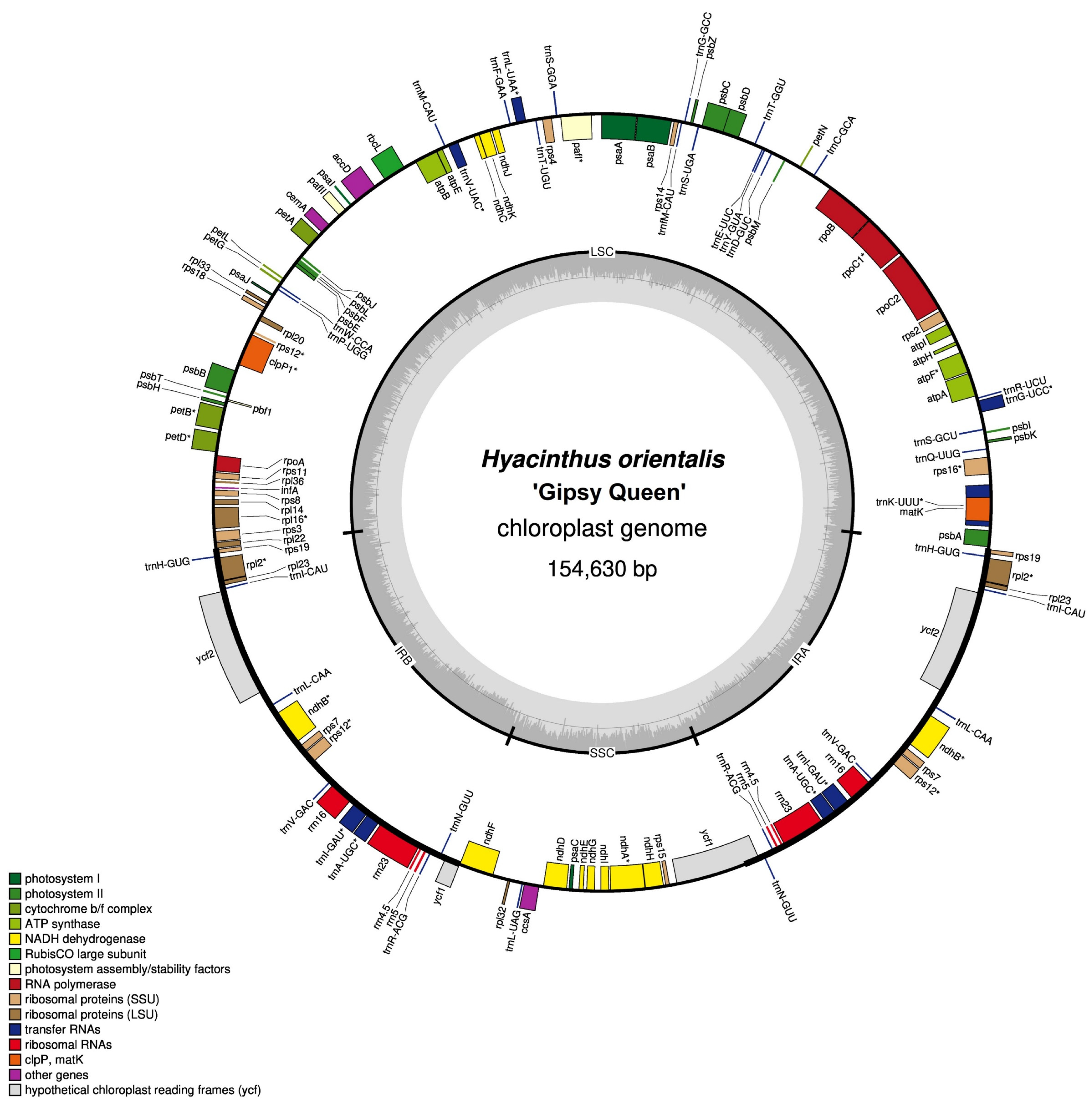 Horticulturae 08 00453 g003 Horticulturae 08 00453 g003