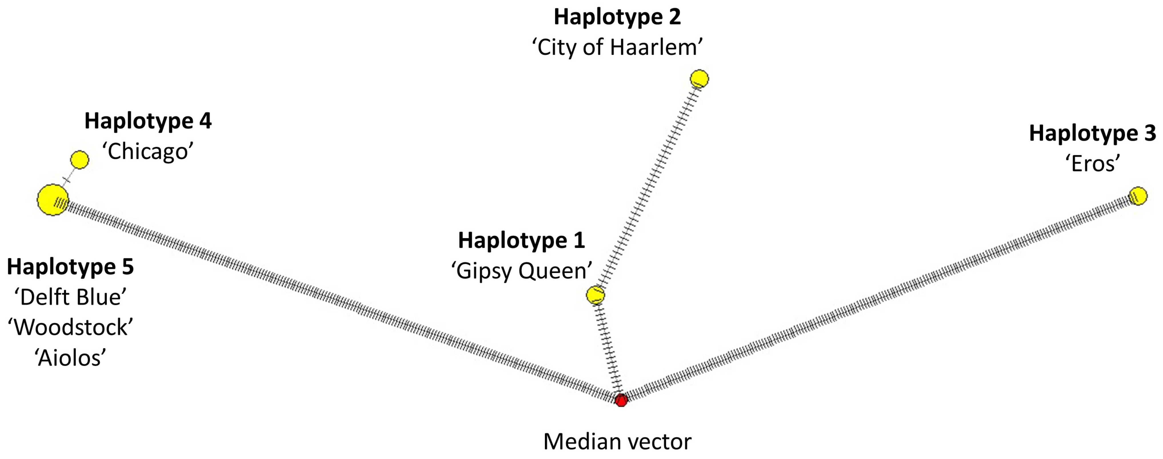 Horticulturae 08 00453 g011 Horticulturae 08 00453 g011
