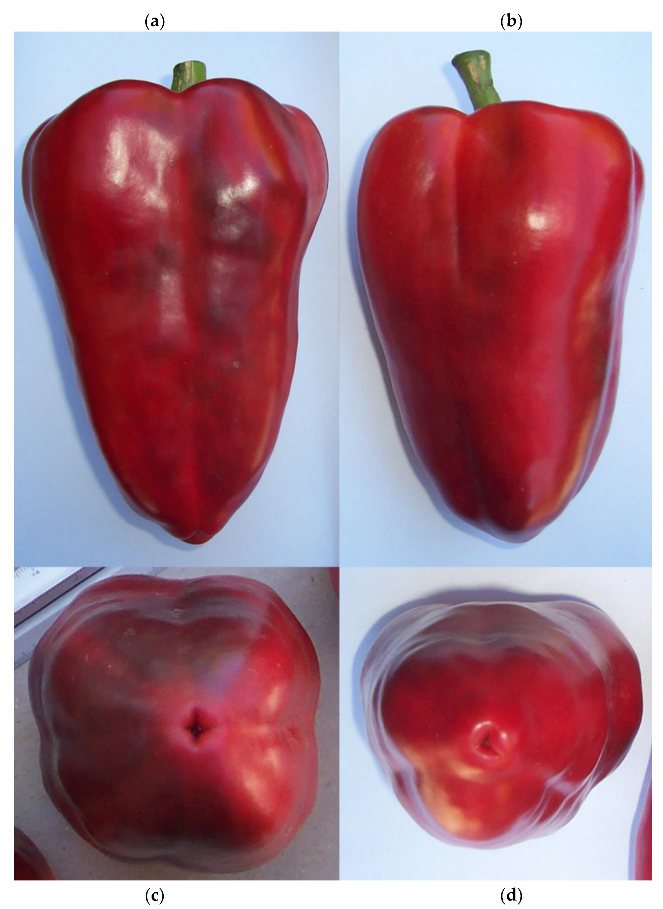 Horticulturae 08 00455 g001