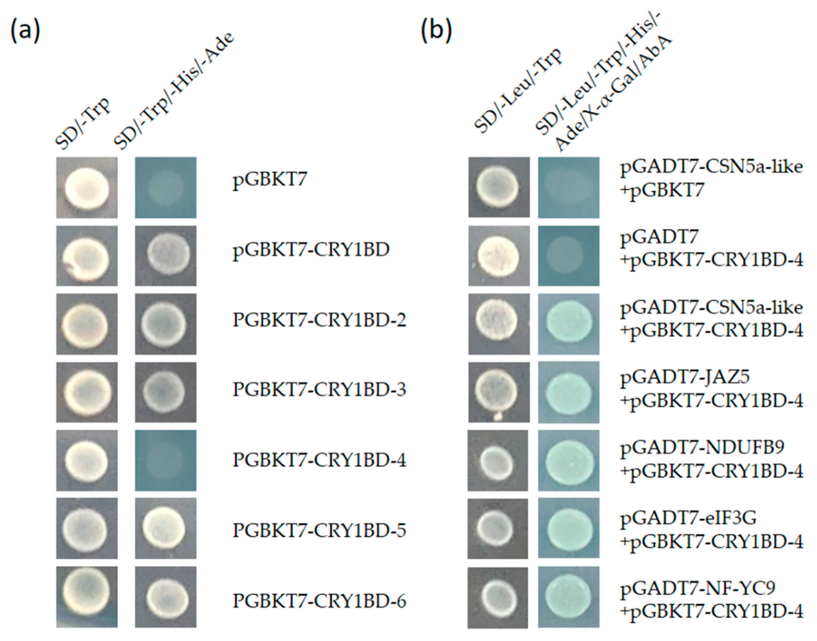 Horticulturae 08 00460 g006 Horticulturae 08 00460 g006