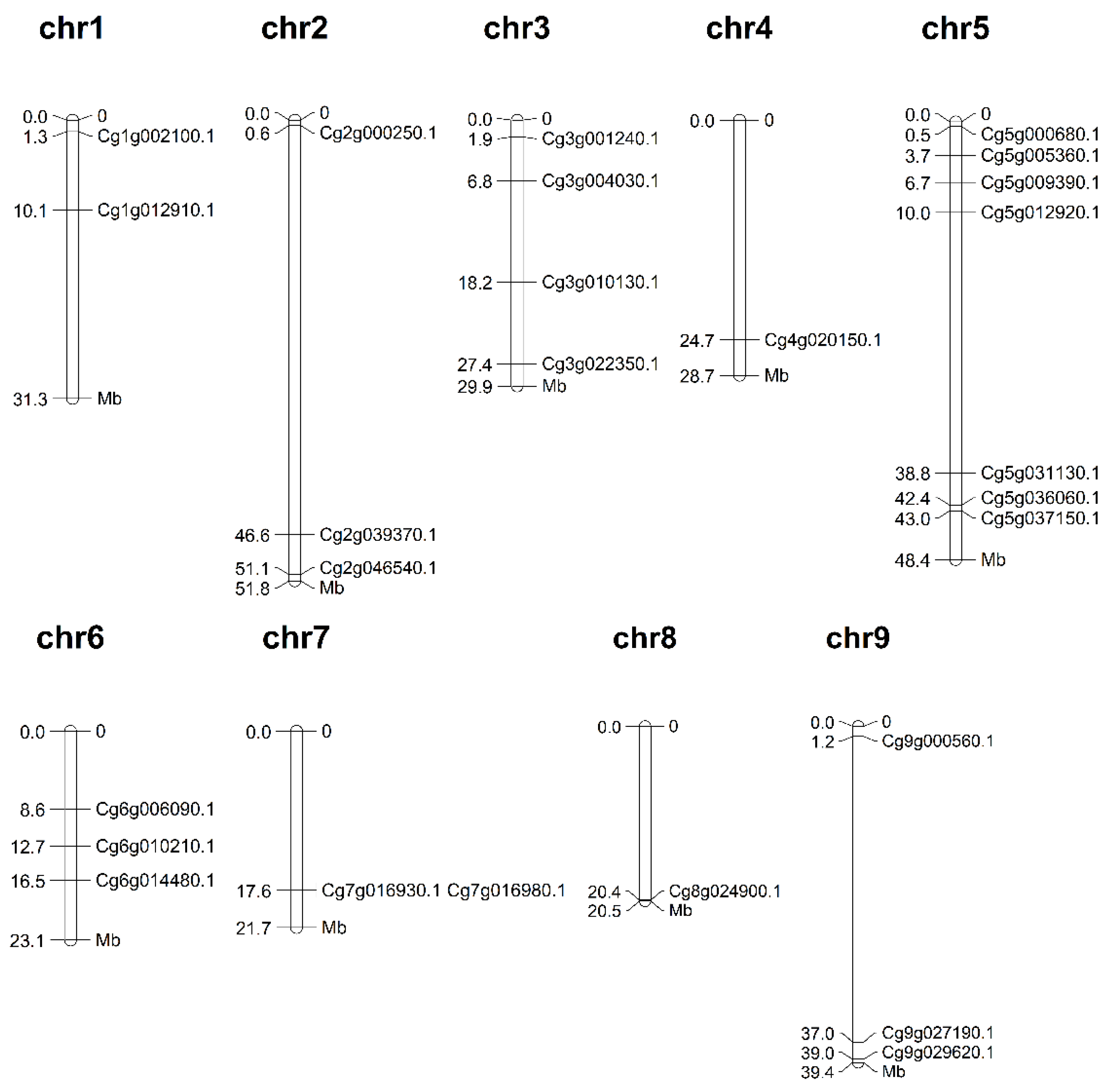 Horticulturae 08 00462 g001