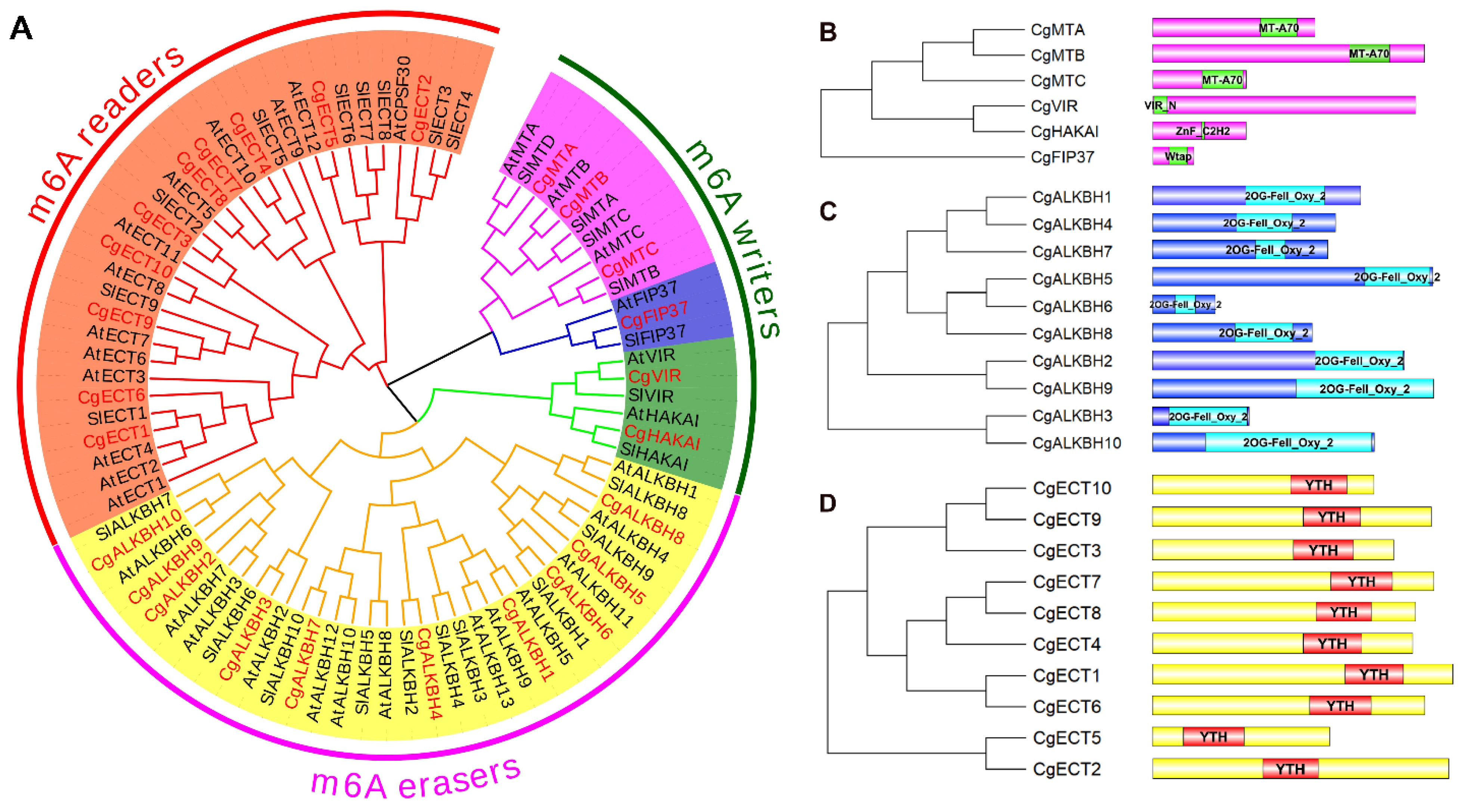 Horticulturae 08 00462 g002