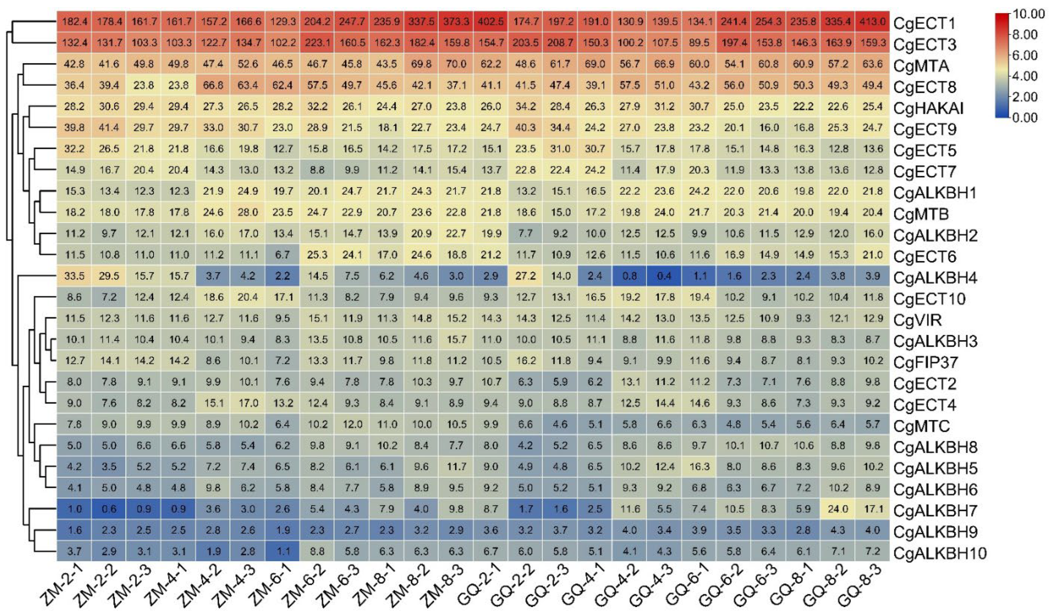 Horticulturae 08 00462 g005