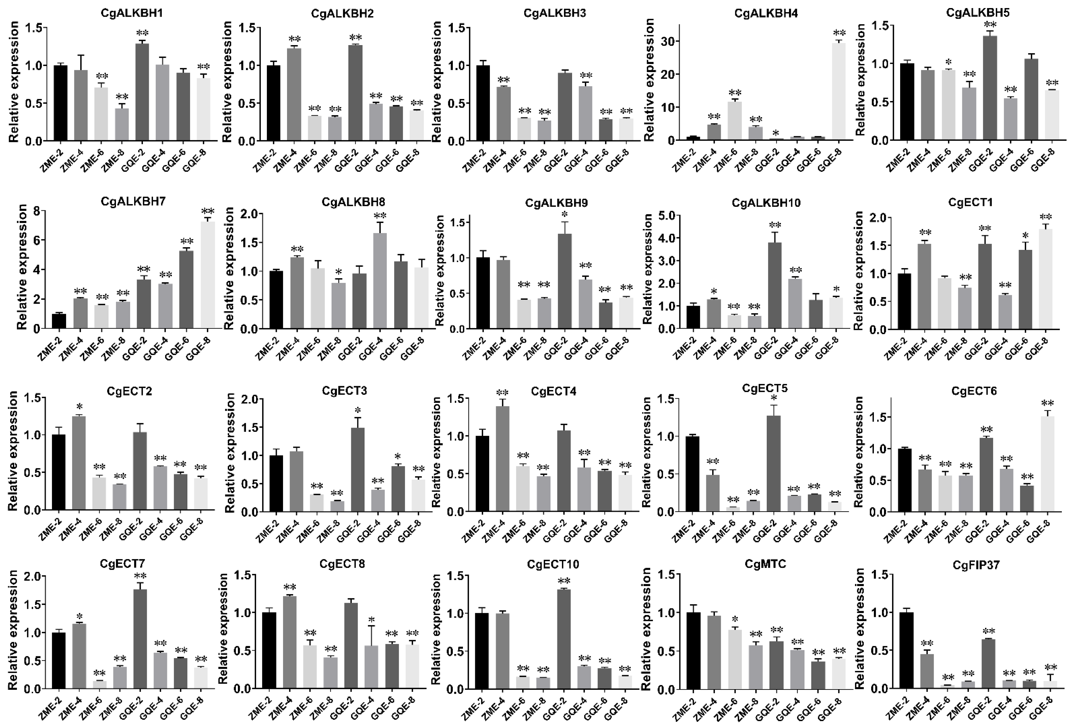 Horticulturae 08 00462 g006