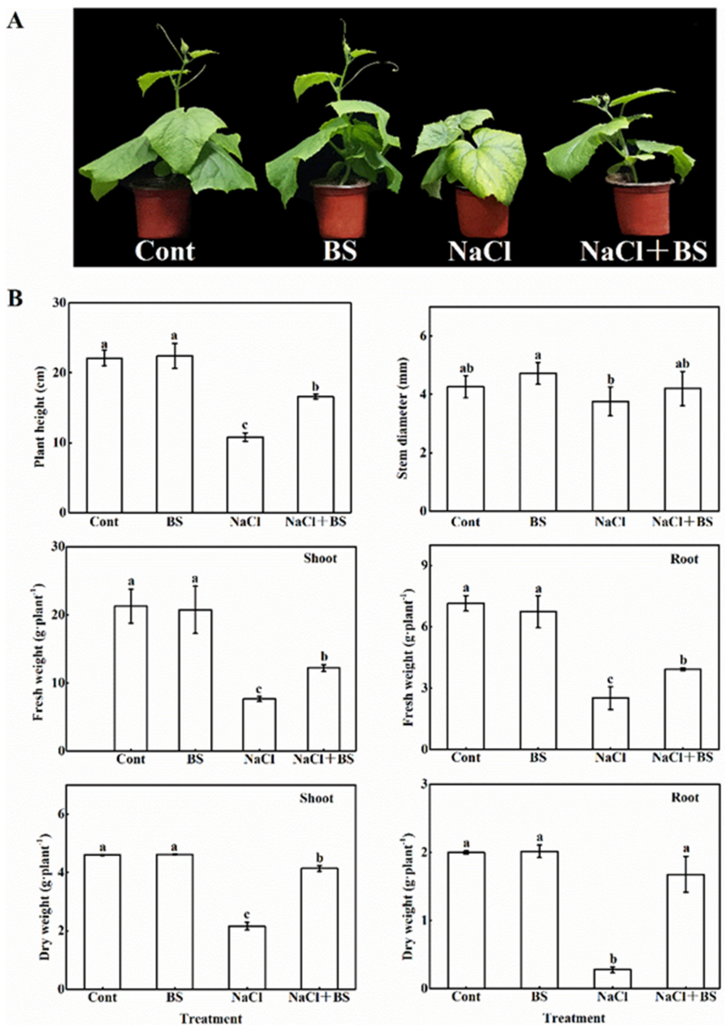 Horticulturae 08 00463 g002 550