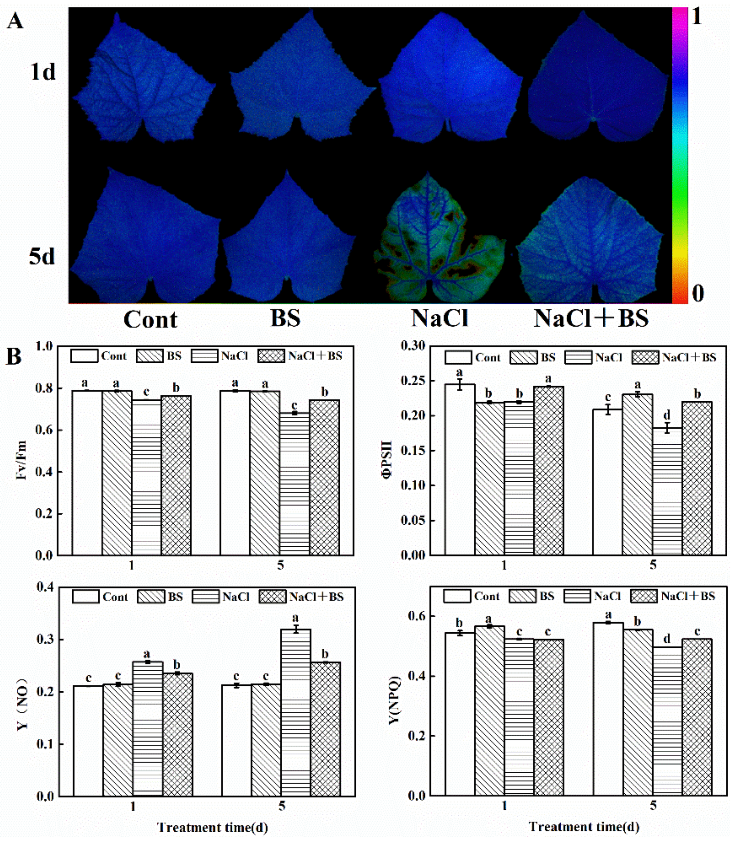 Horticulturae 08 00463 g005 550