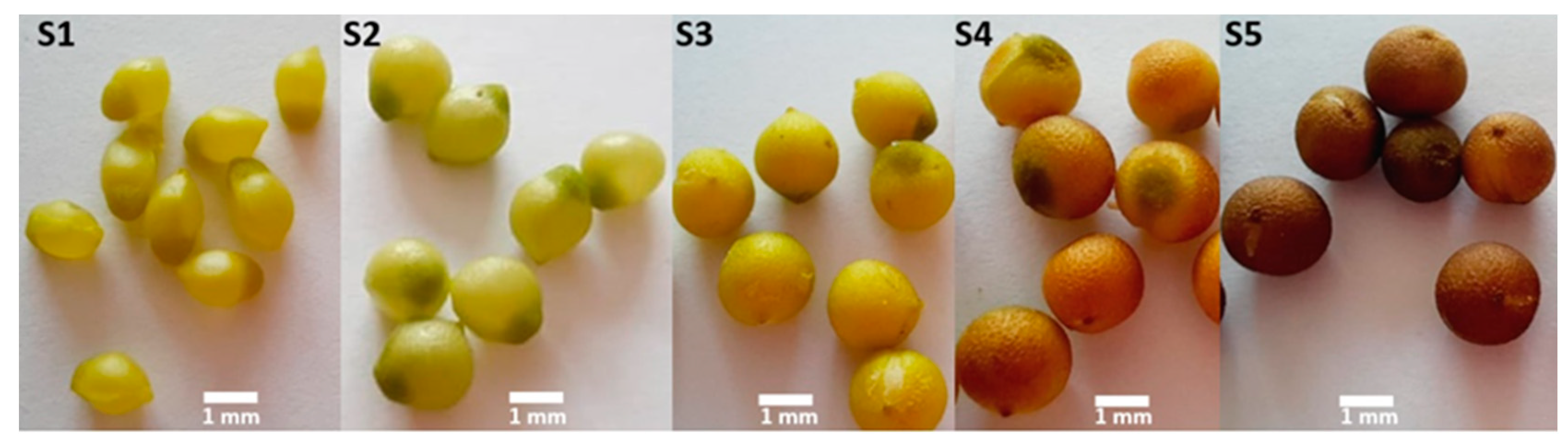 Horticulturae 08 00464 g003
