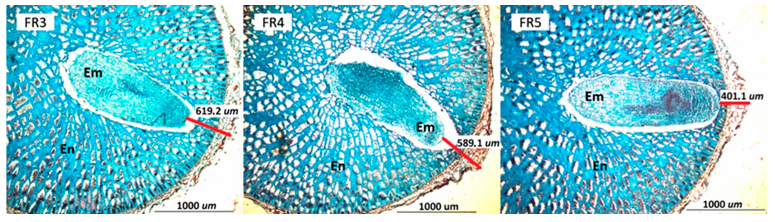Horticulturae 08 00464 g008