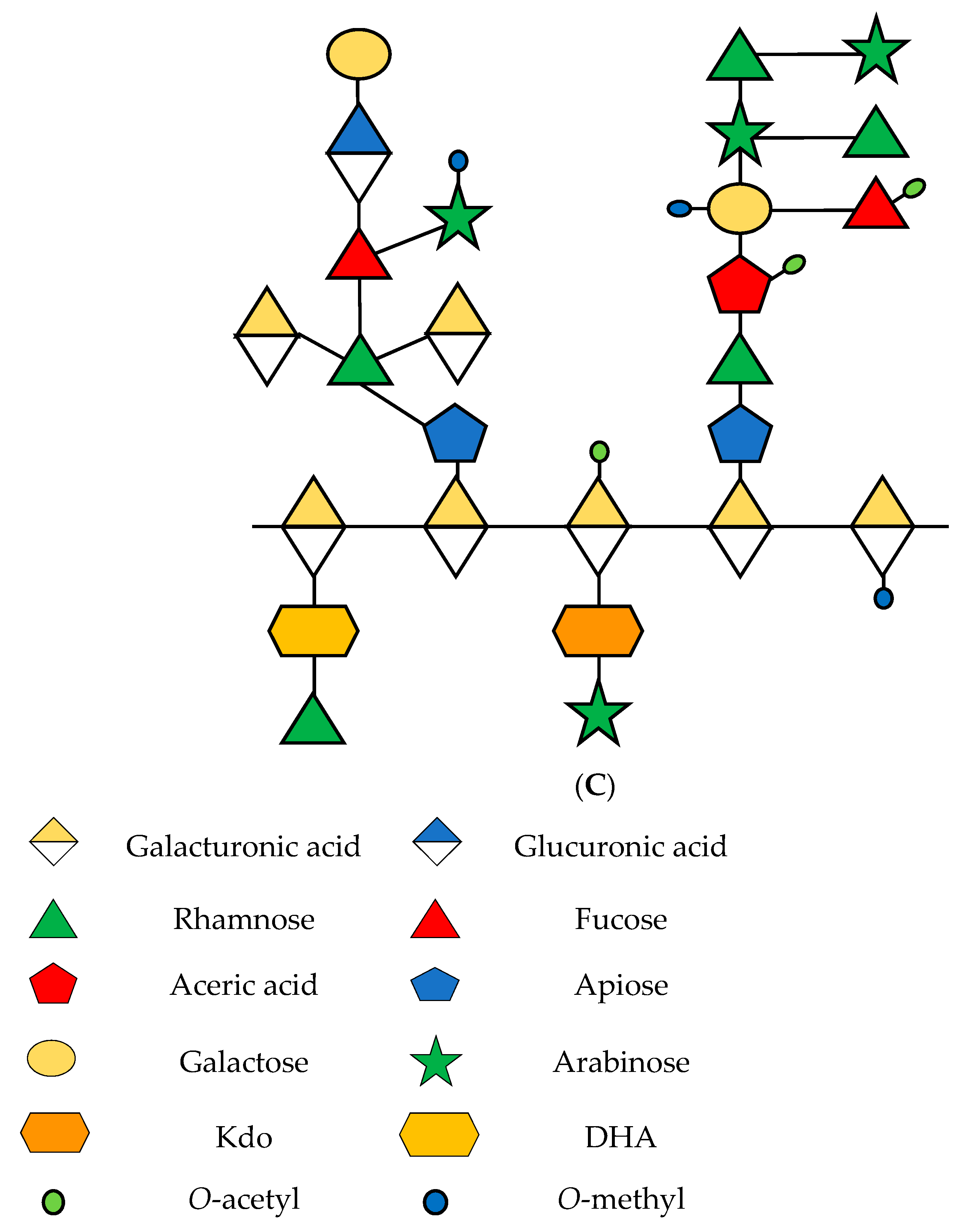 Horticulturae 08 00465 g001b