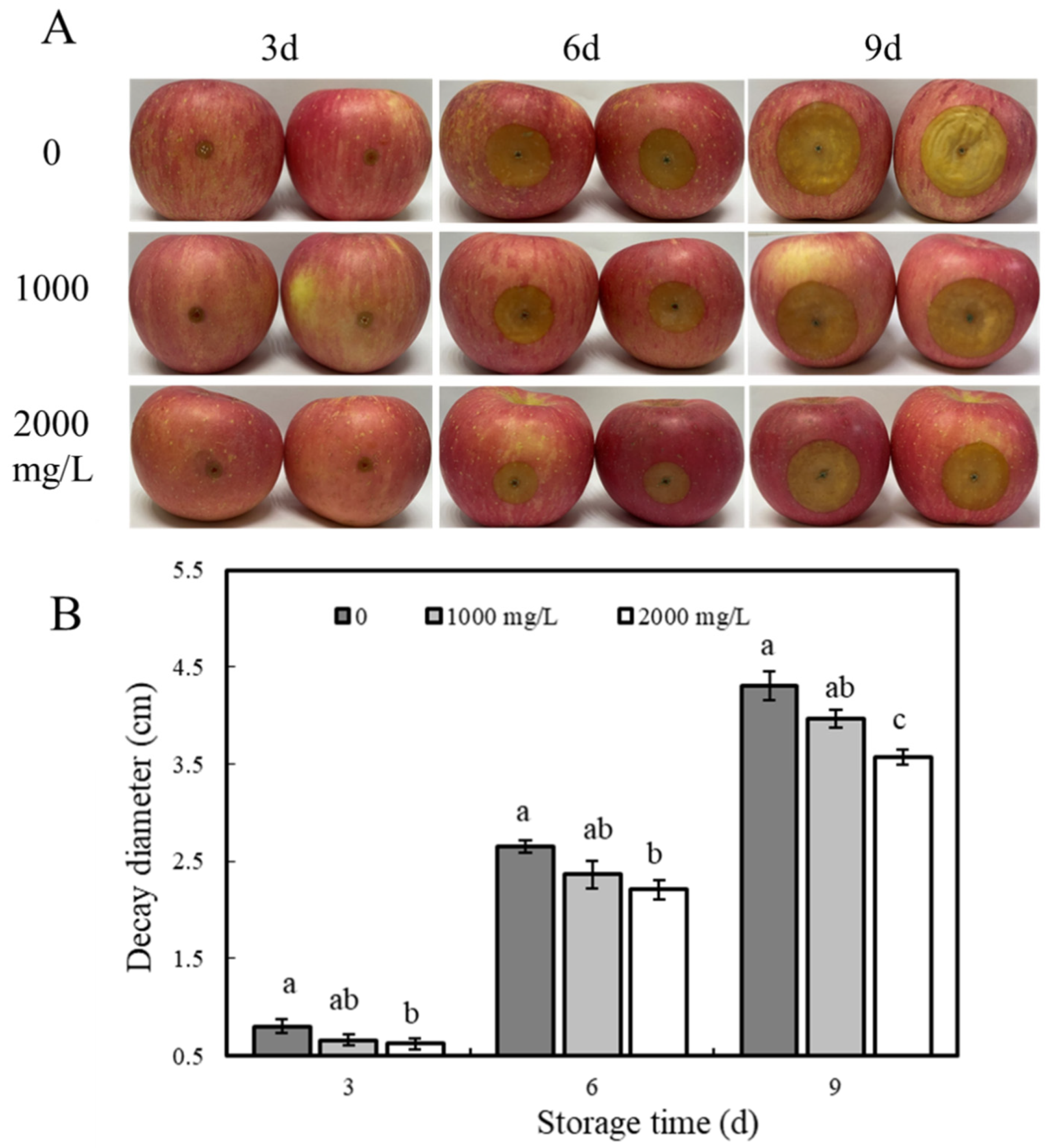Horticulturae 08 00468 g002