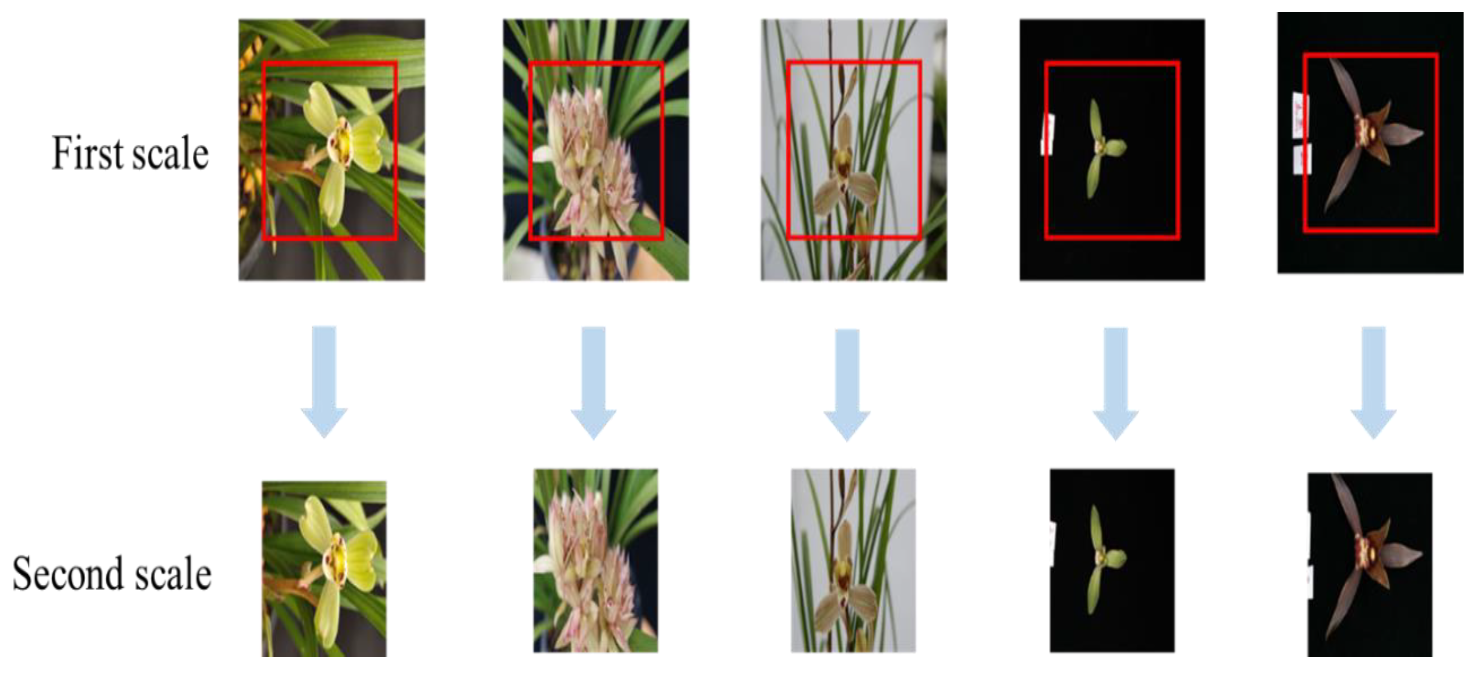 Horticulturae 08 00470 g002