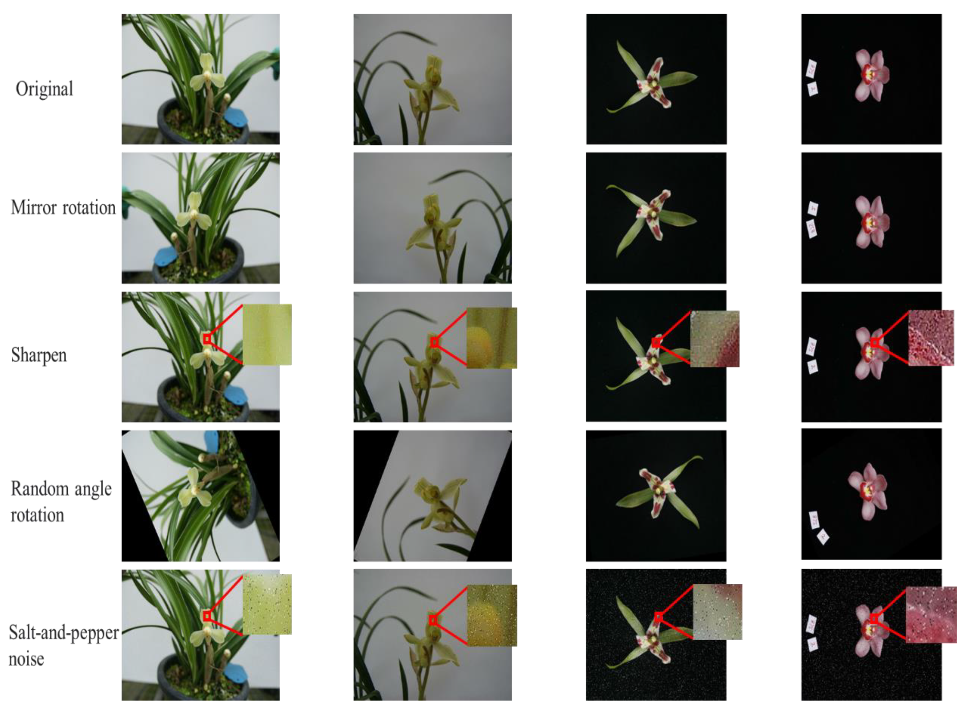 Horticulturae 08 00470 g003