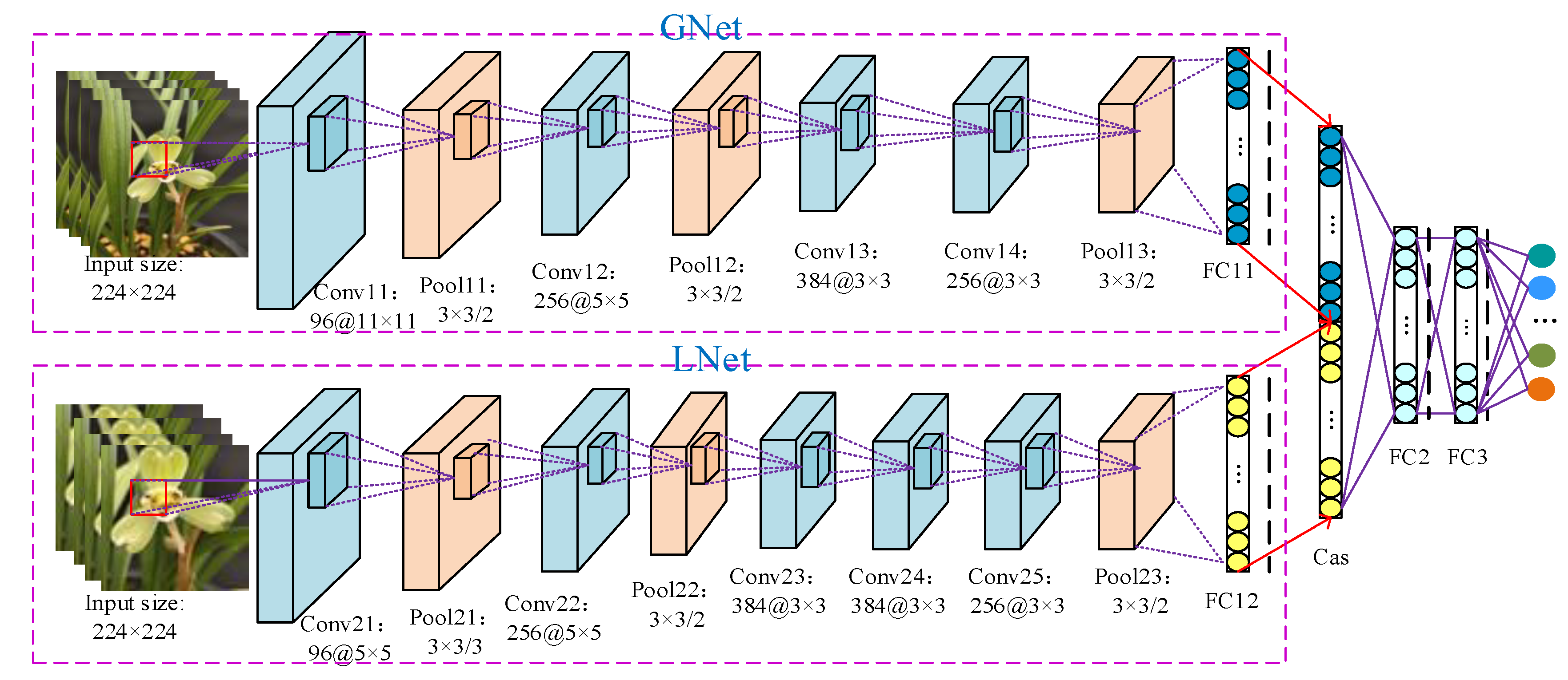 Horticulturae 08 00470 g004