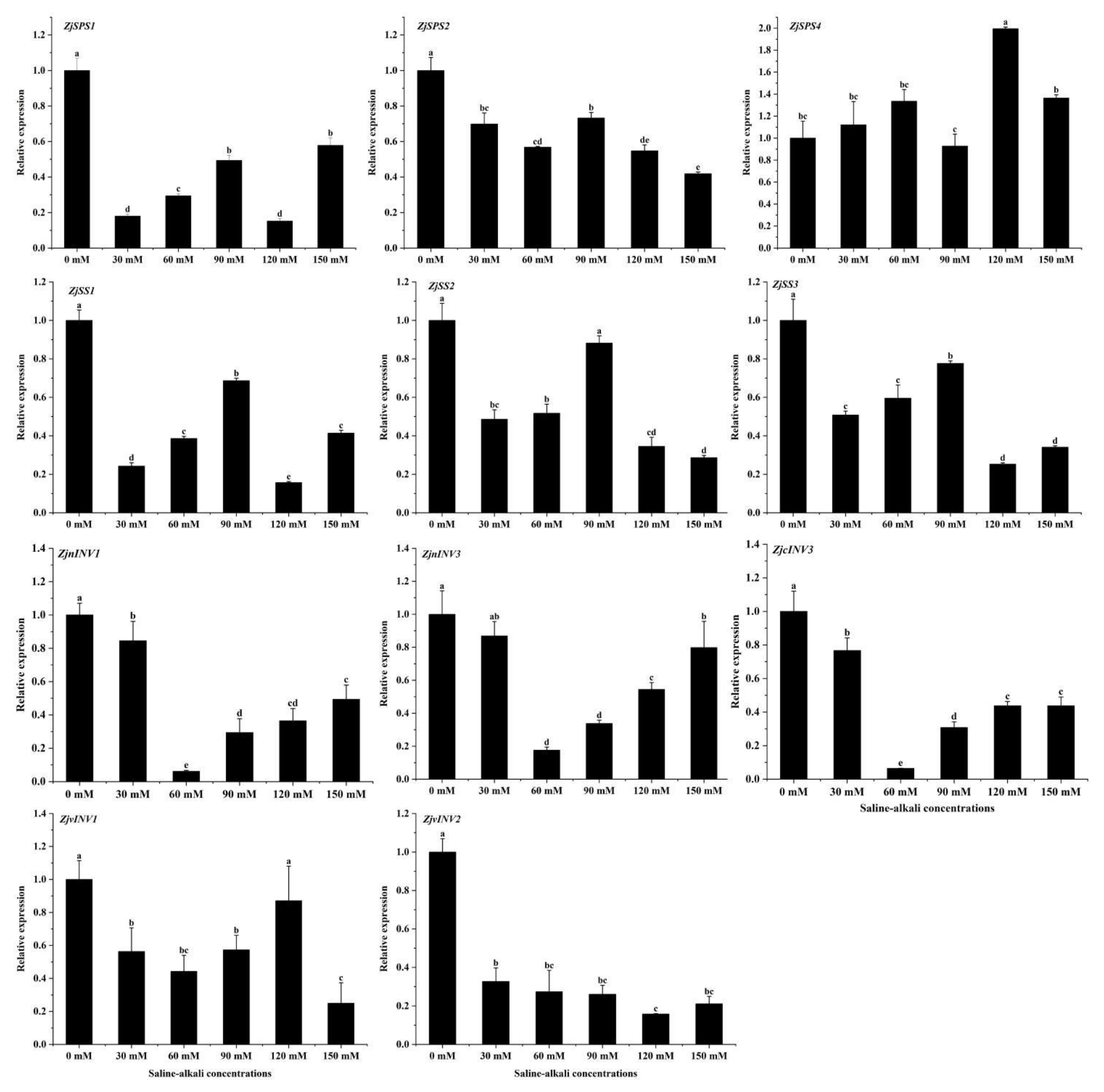 Horticulturae 08 00474 g004