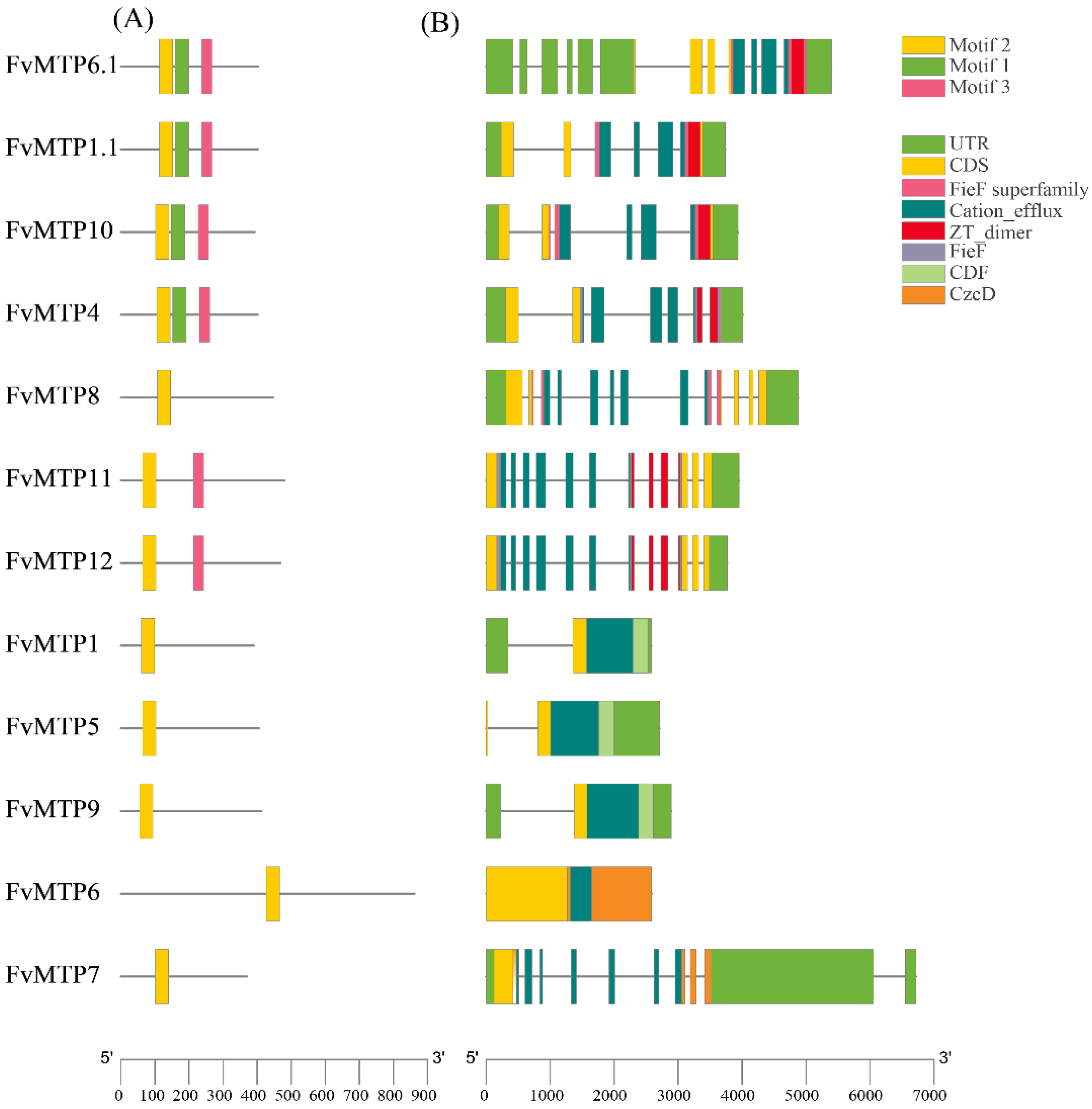 Horticulturae 08 00477 g002 550