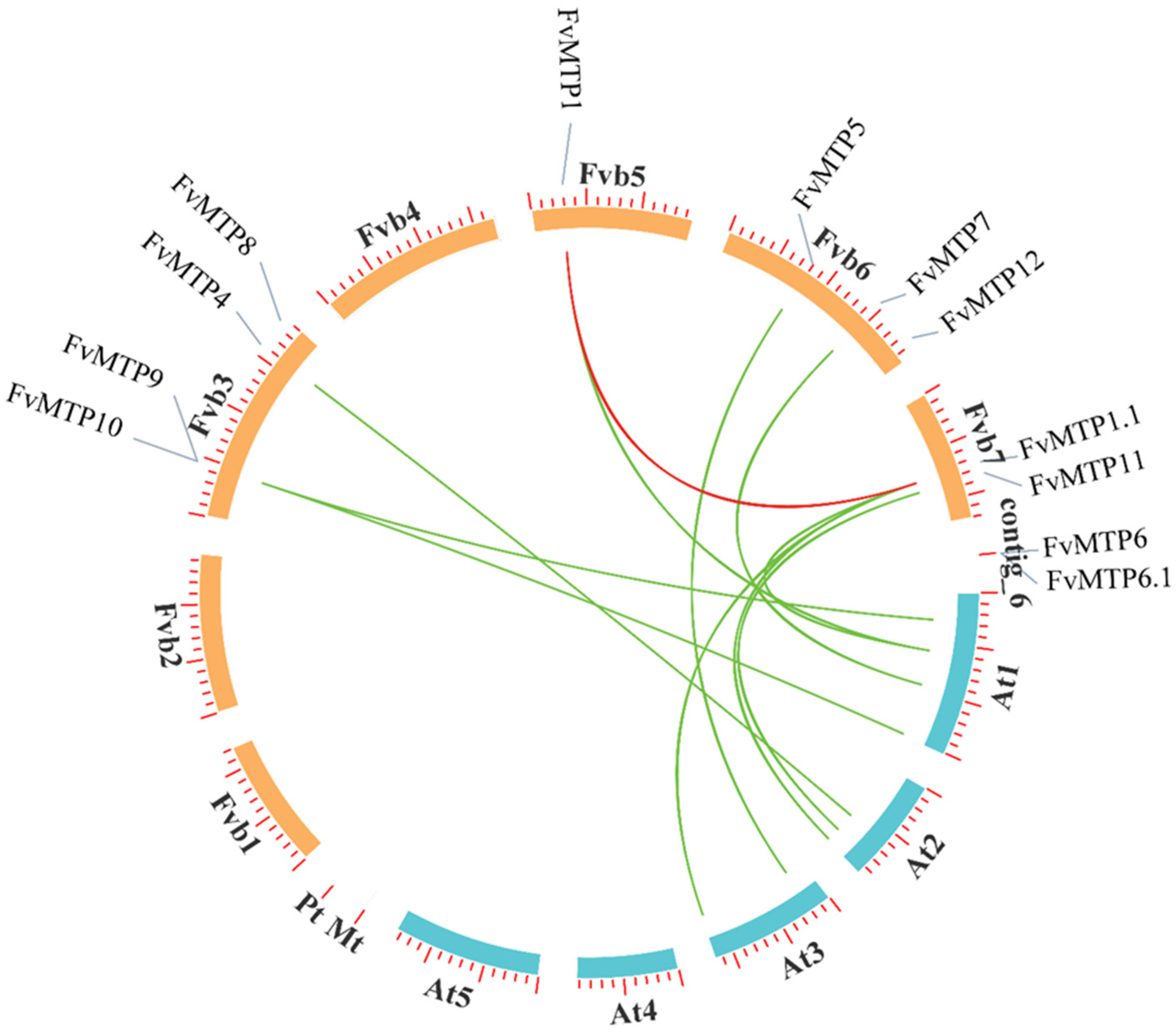 Horticulturae 08 00477 g003 550