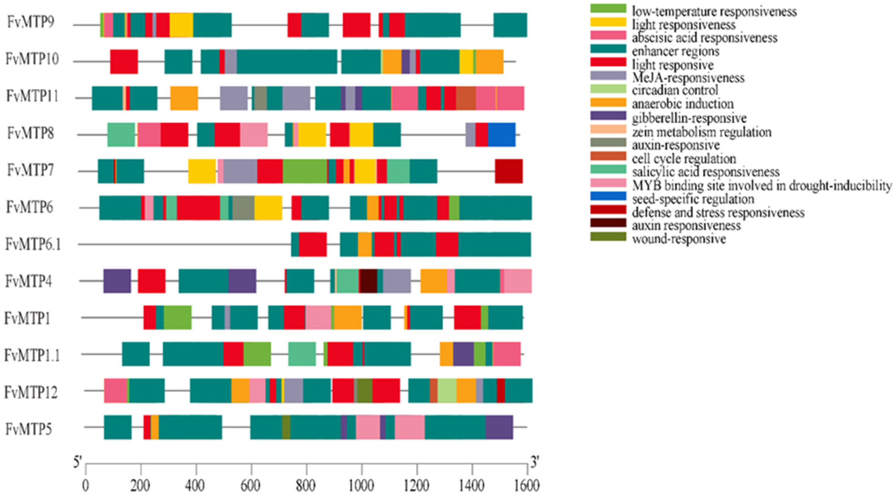 Horticulturae 08 00477 g004 550