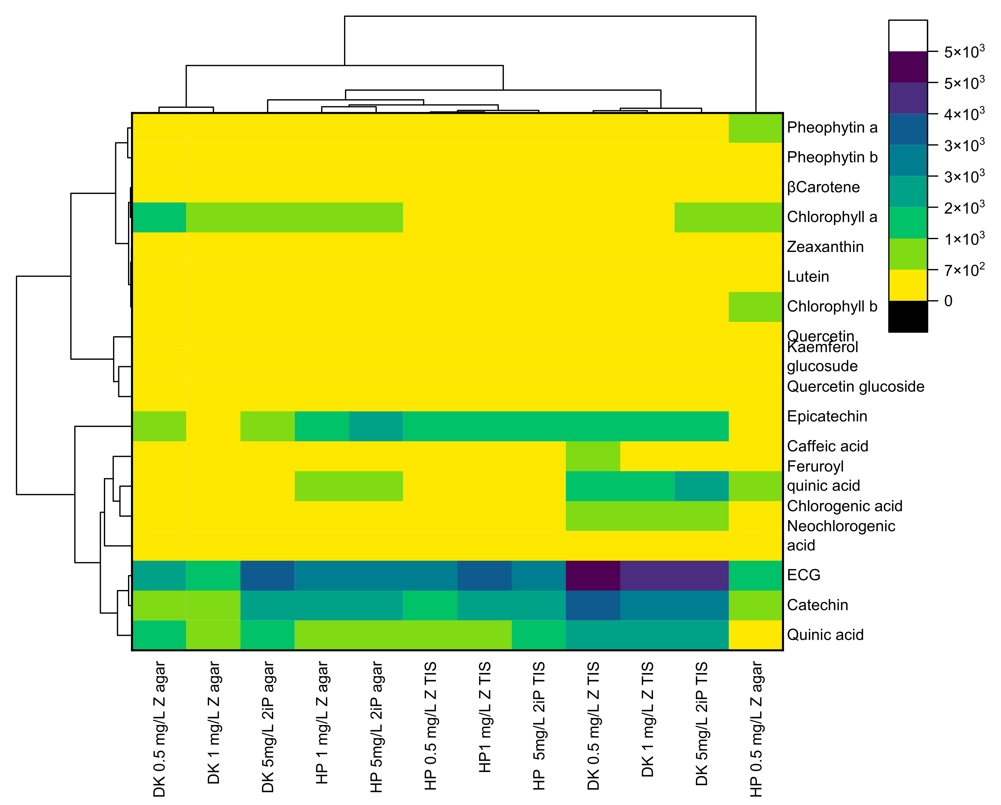 Horticulturae 08 00480 g004