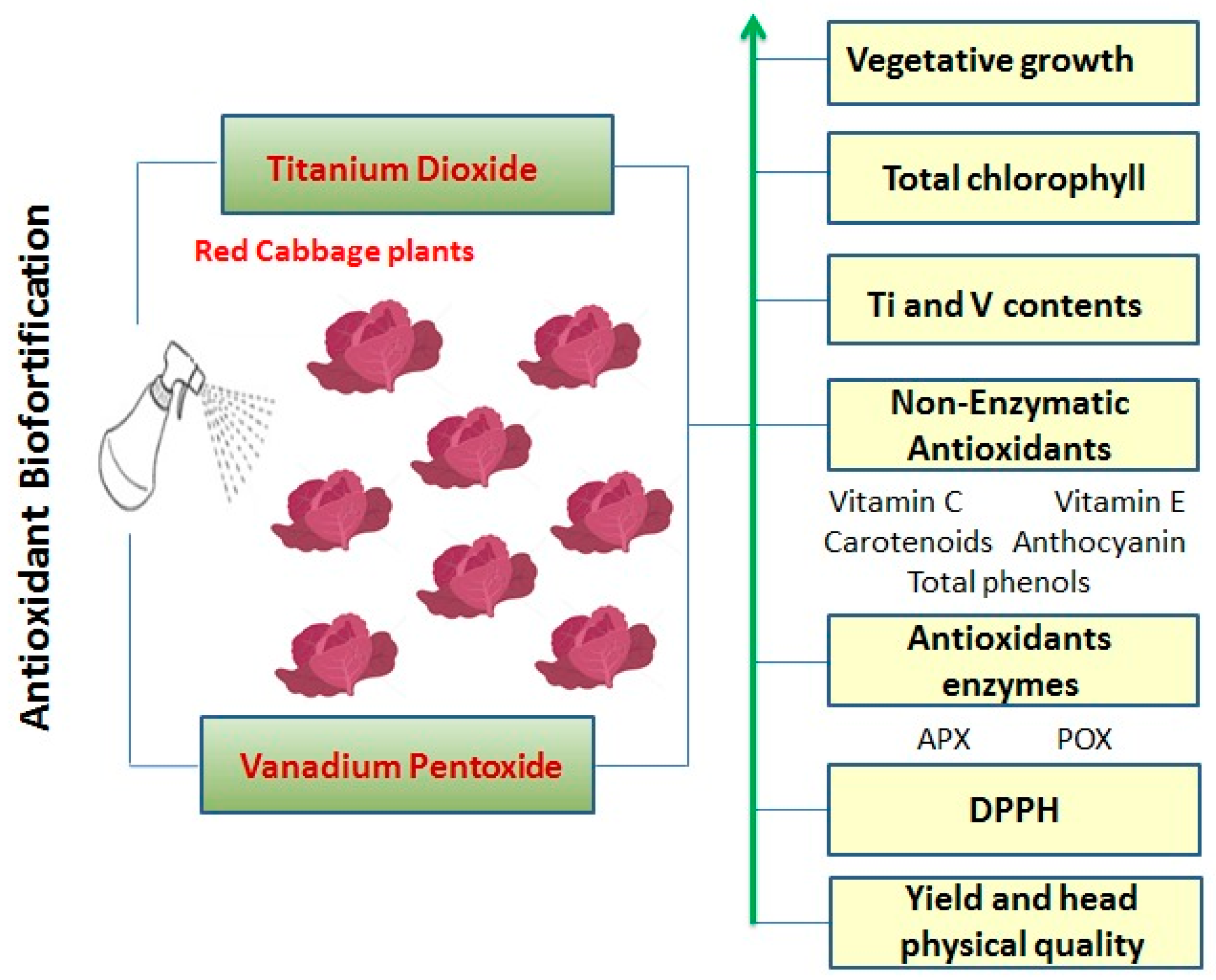 Horticulturae 08 00481 g007