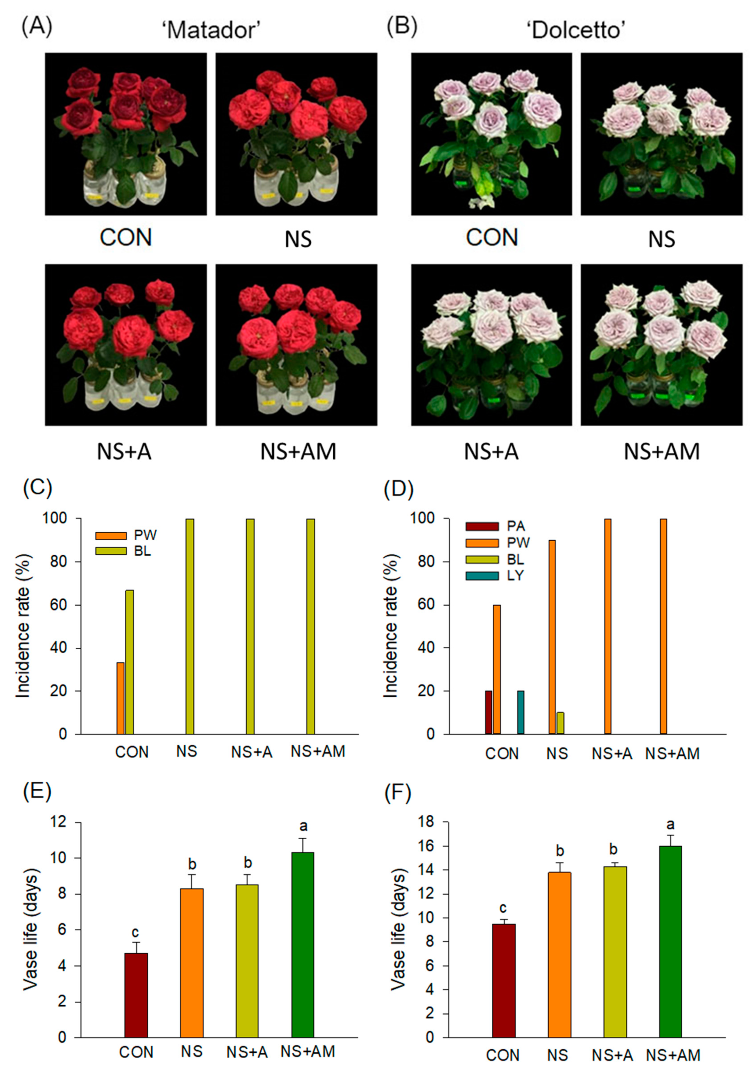 Horticulturae 08 00482 g001 550