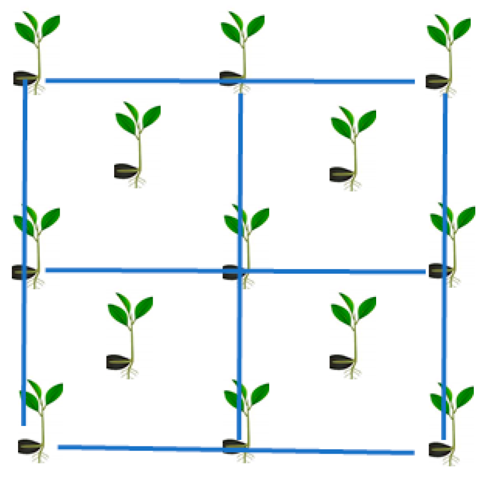 Horticulturae 08 00485 g005 Horticulturae 08 00485 g005