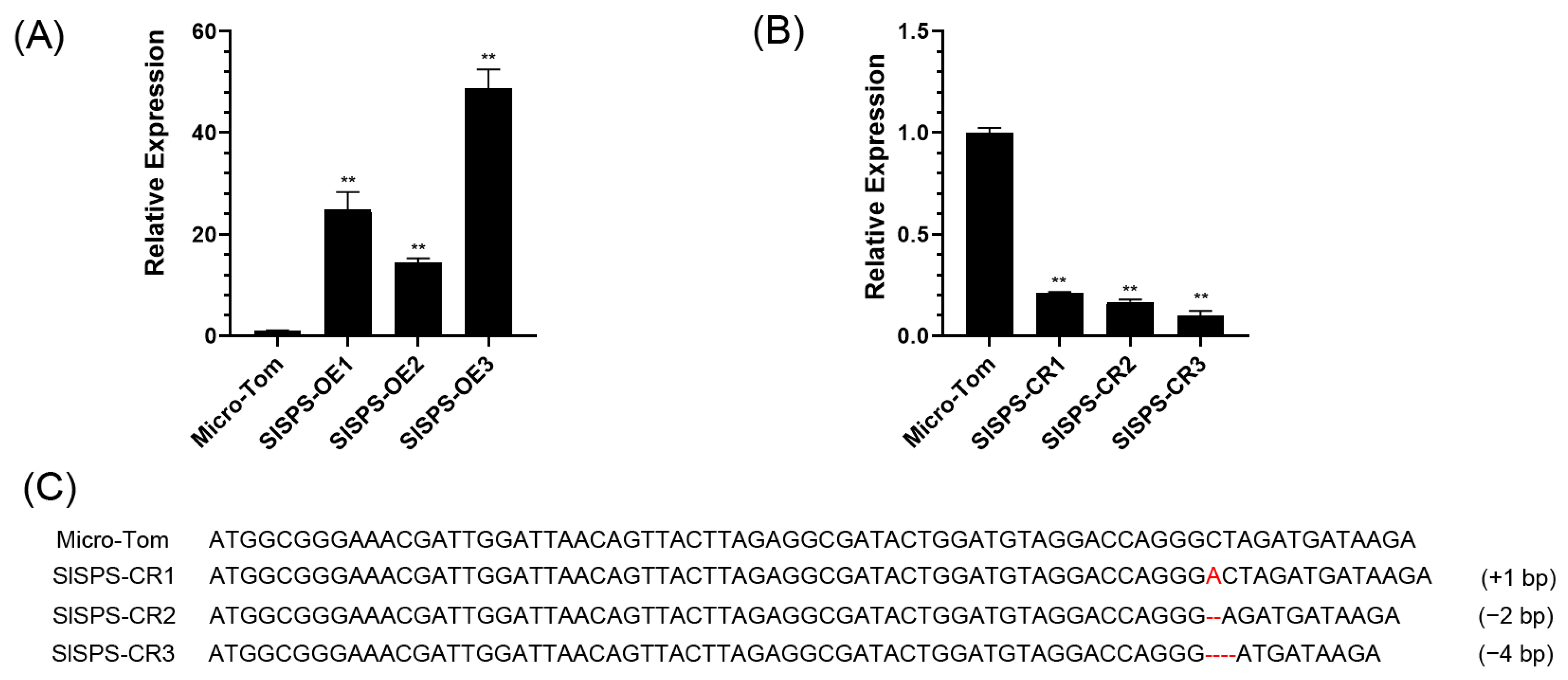 Horticulturae 08 00491 g001