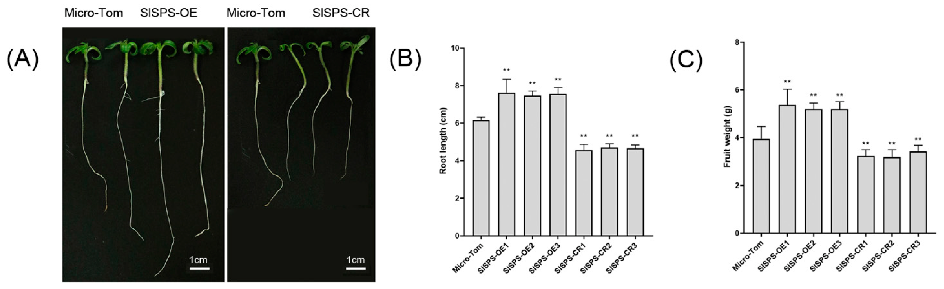 Horticulturae 08 00491 g003