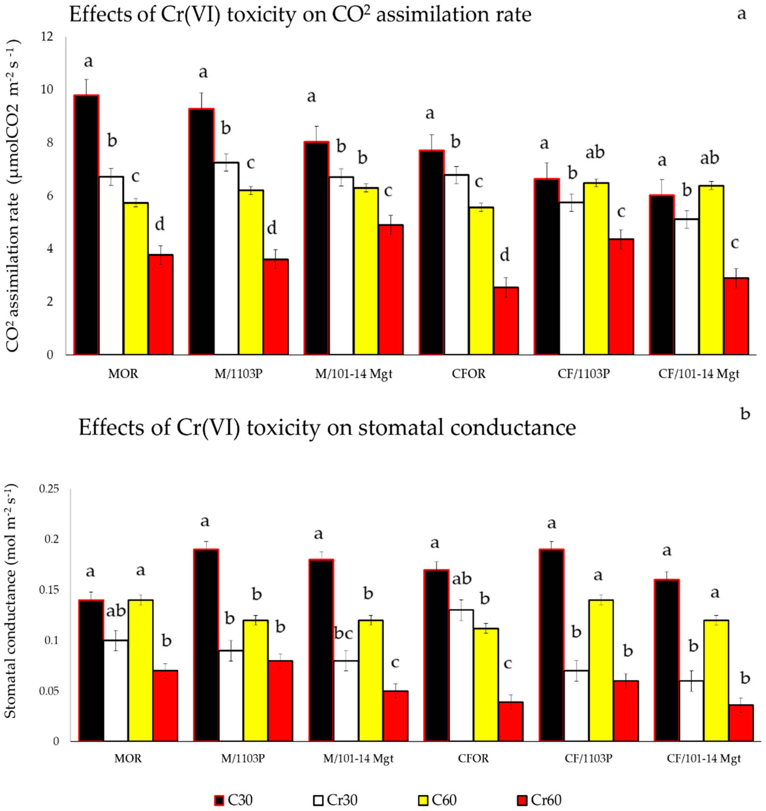 Horticulturae 08 00493 g006