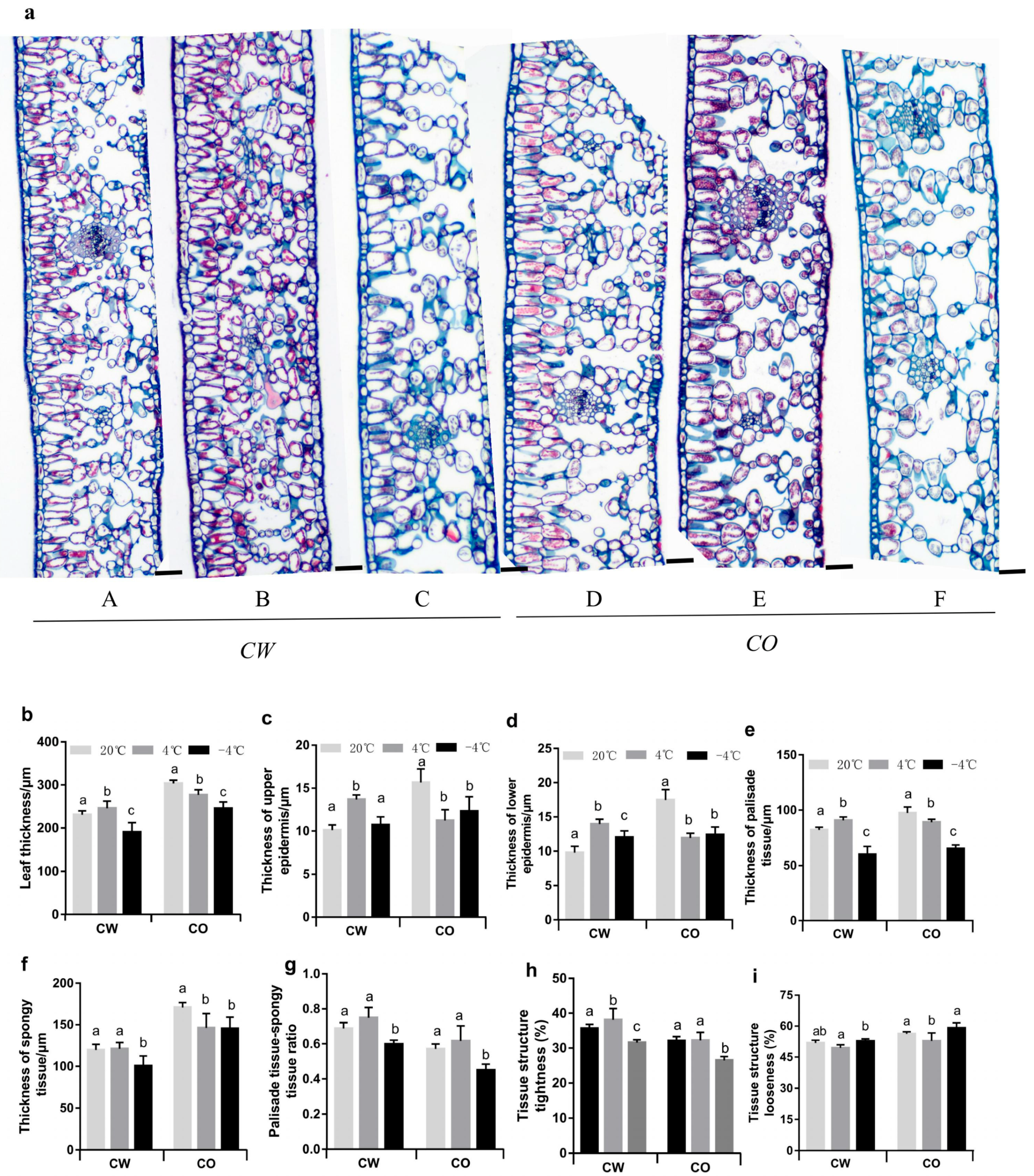 Horticulturae 08 00494 g001