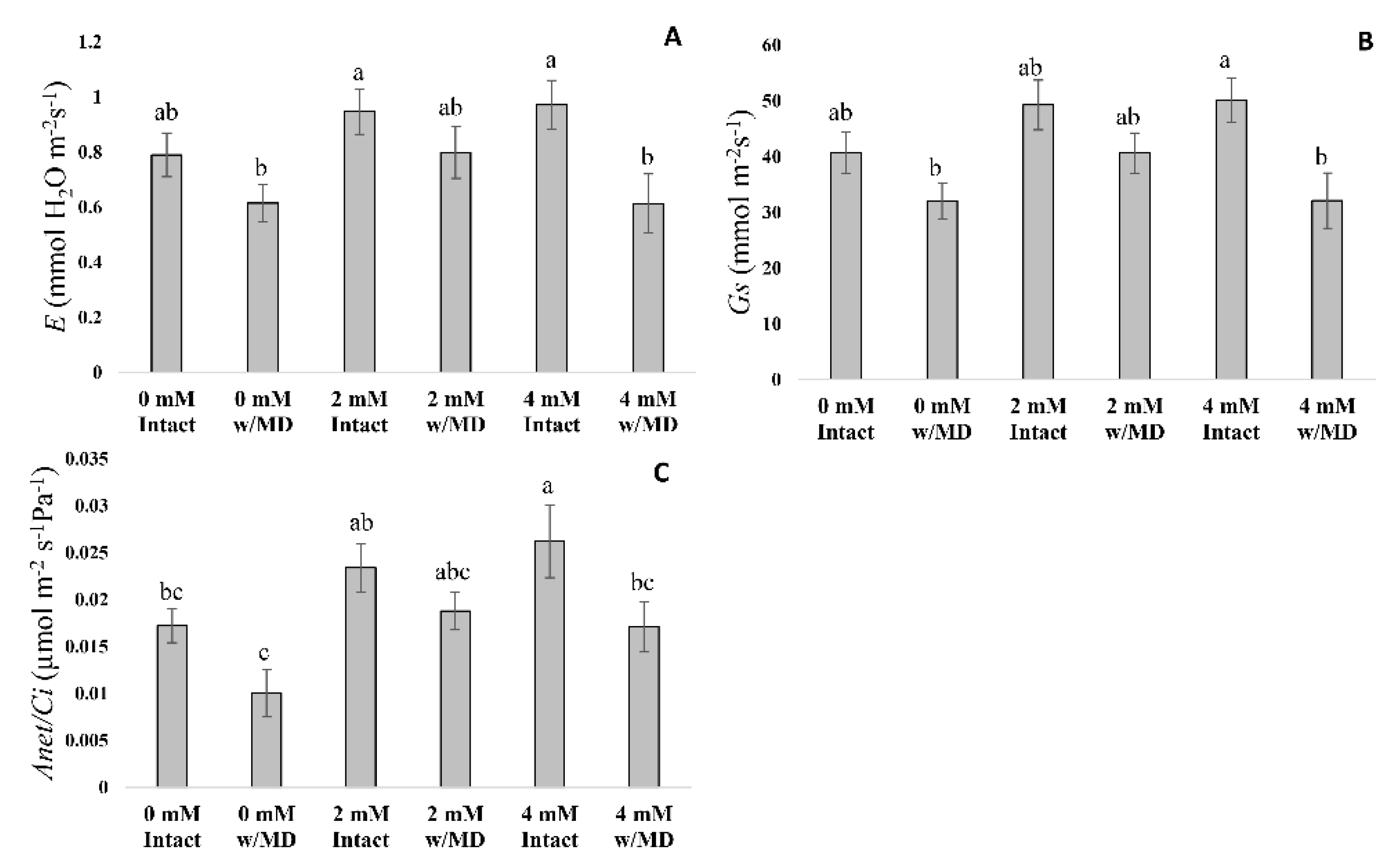 Horticulturae 08 00495 g004