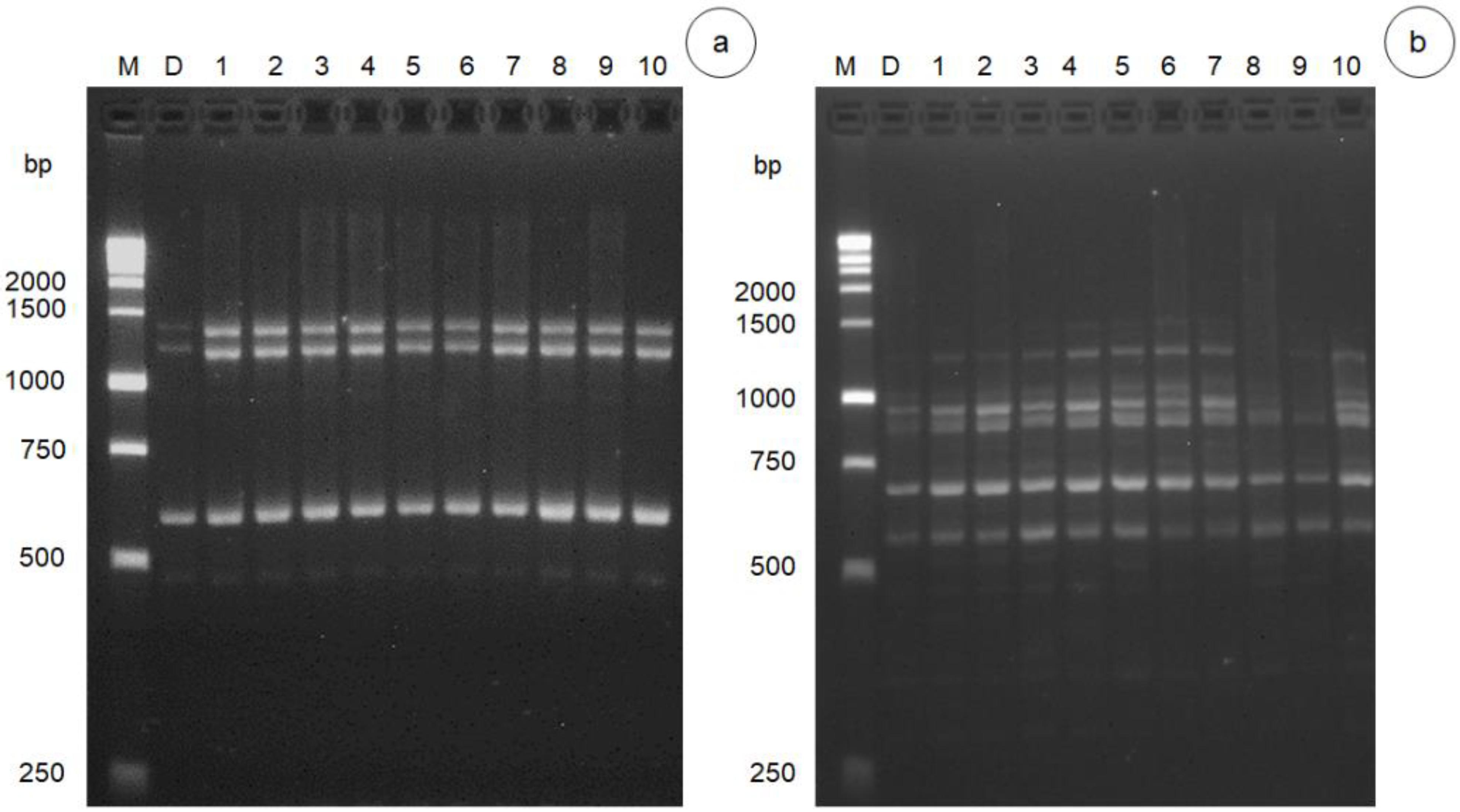 Horticulturae 08 00503 g003 550
