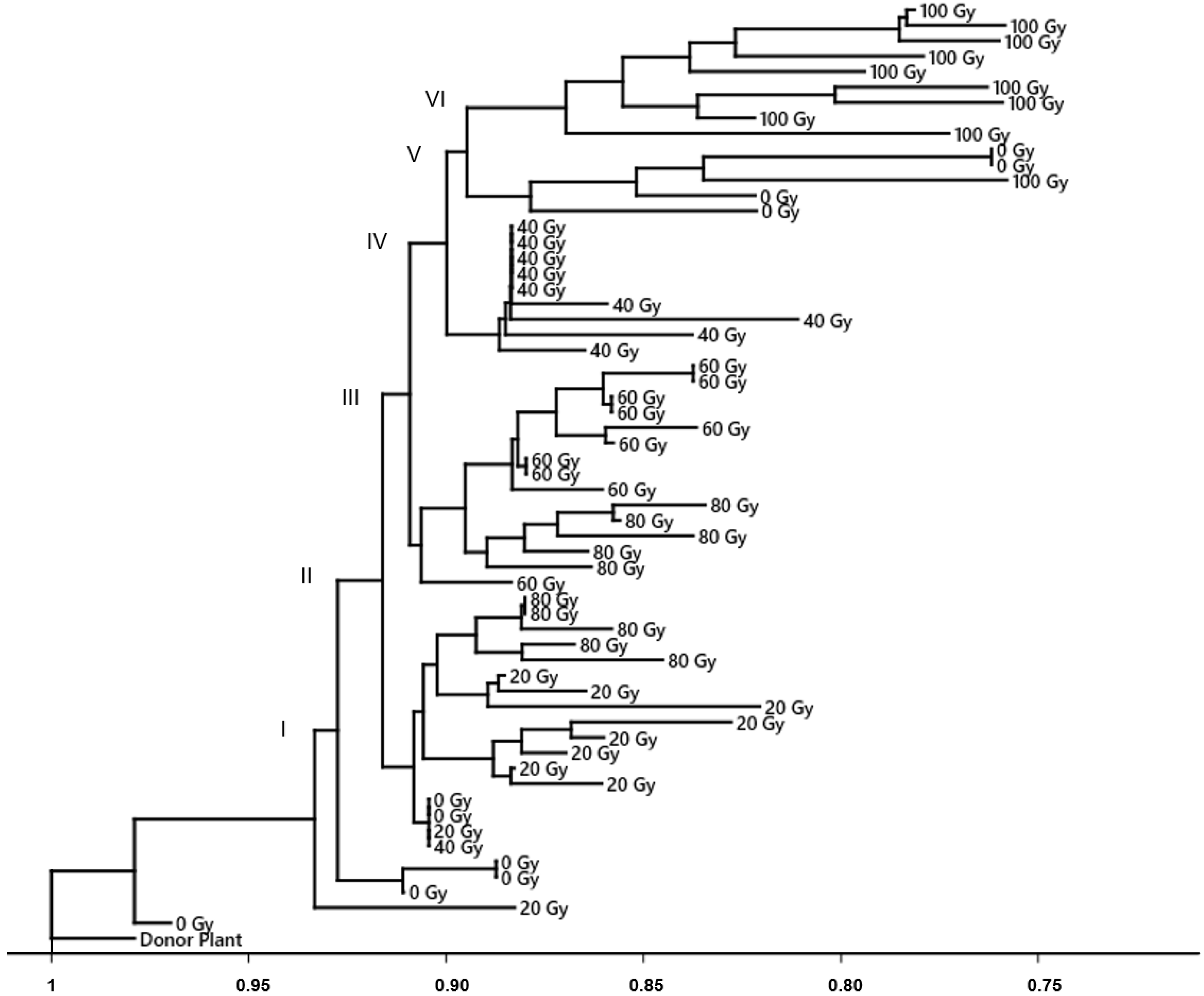 Horticulturae 08 00503 g004 550