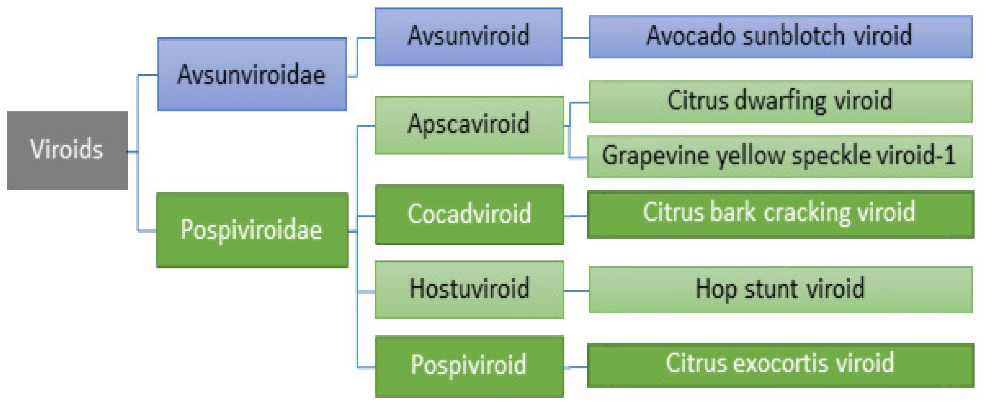 Horticulturae 08 00508 g002 Horticulturae 08 00508 g002