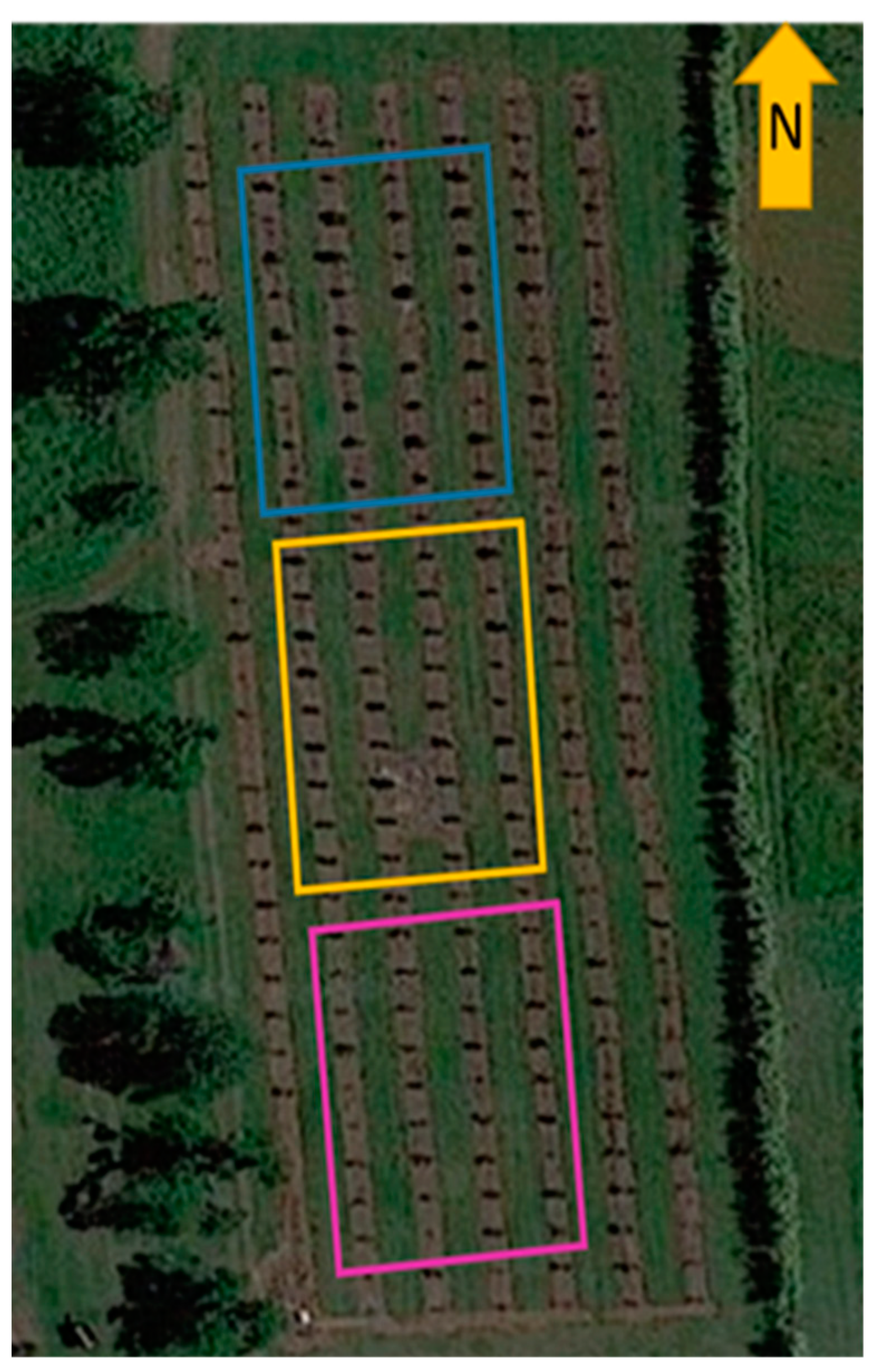 Horticulturae 08 00513 g001