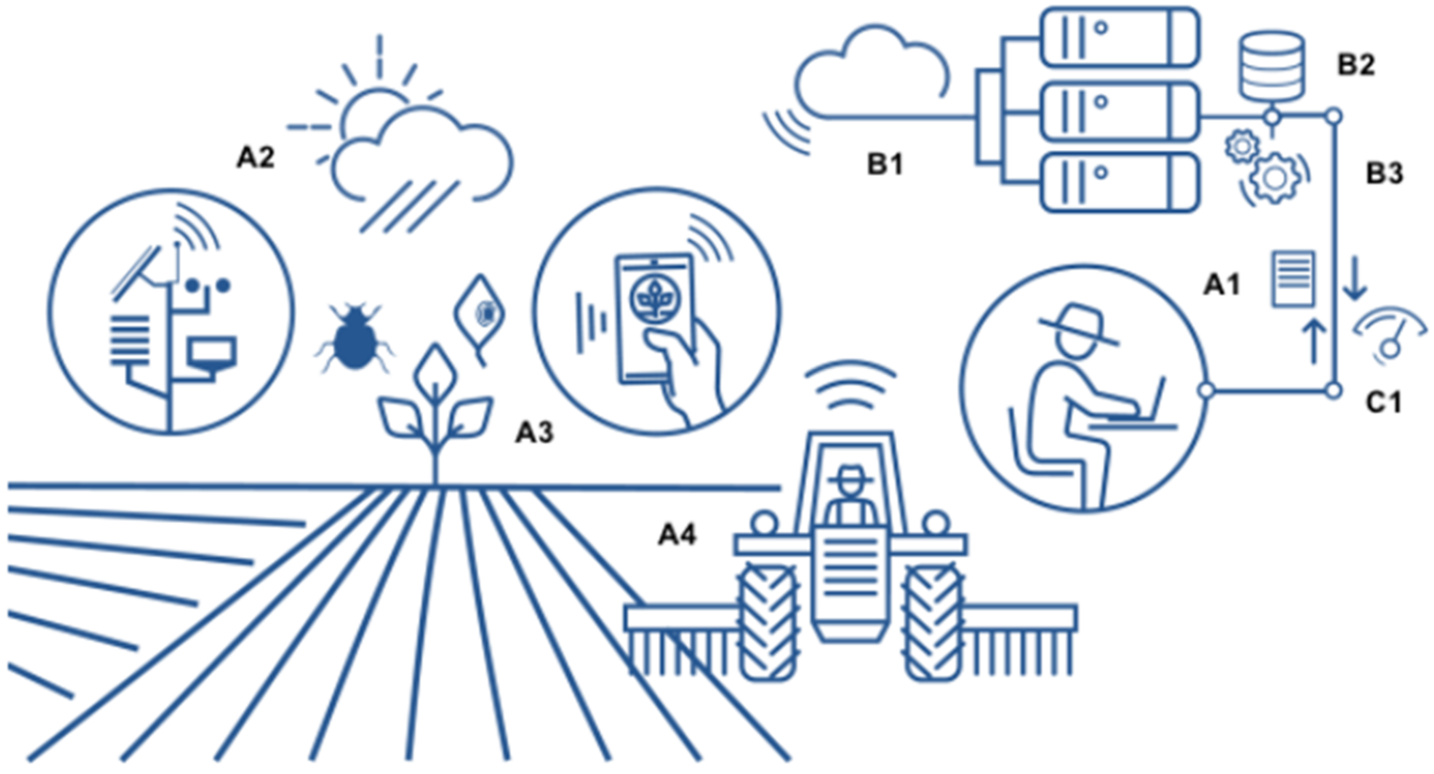 Horticulturae 08 00517 g002