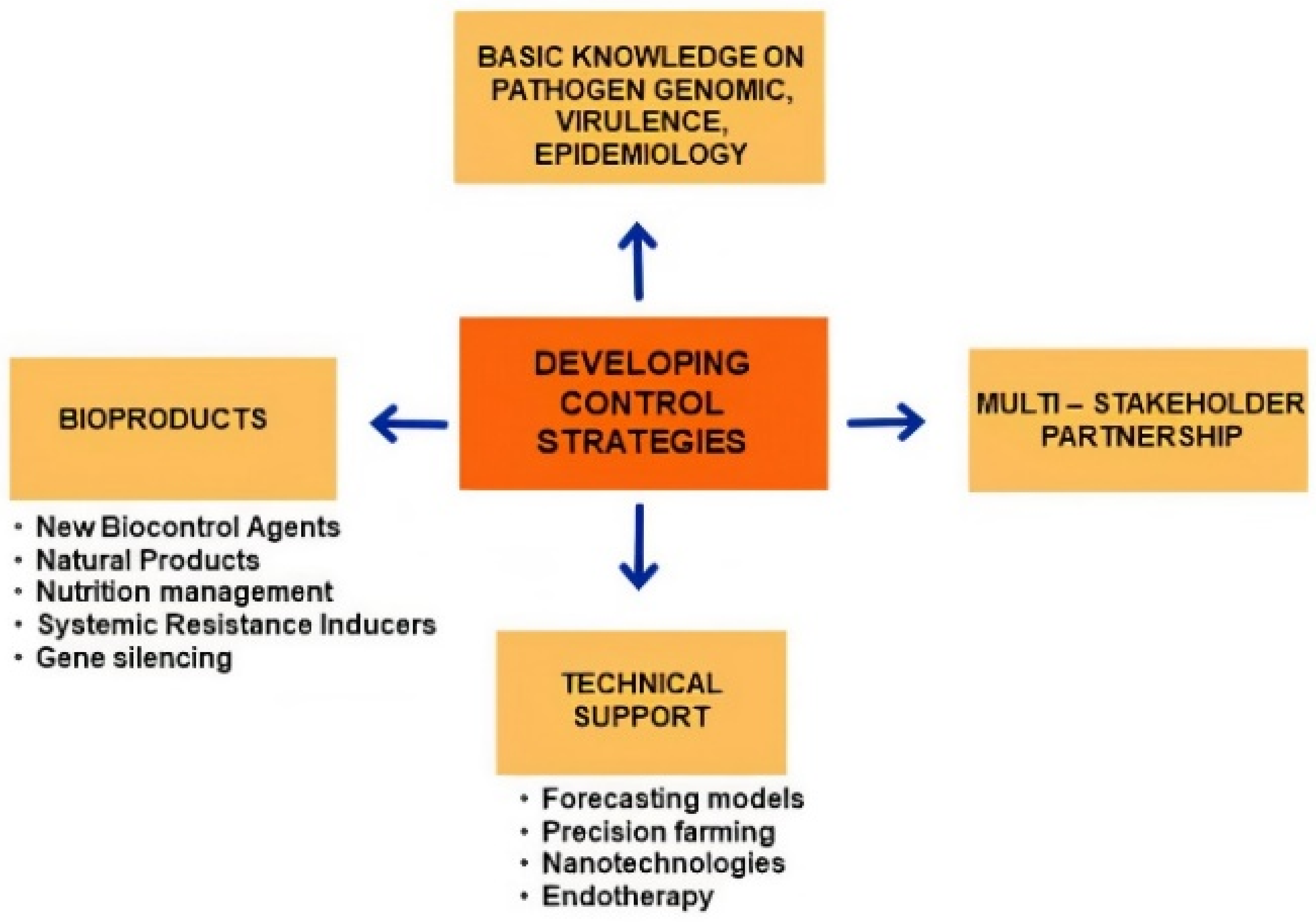 Horticulturae 08 00517 g003