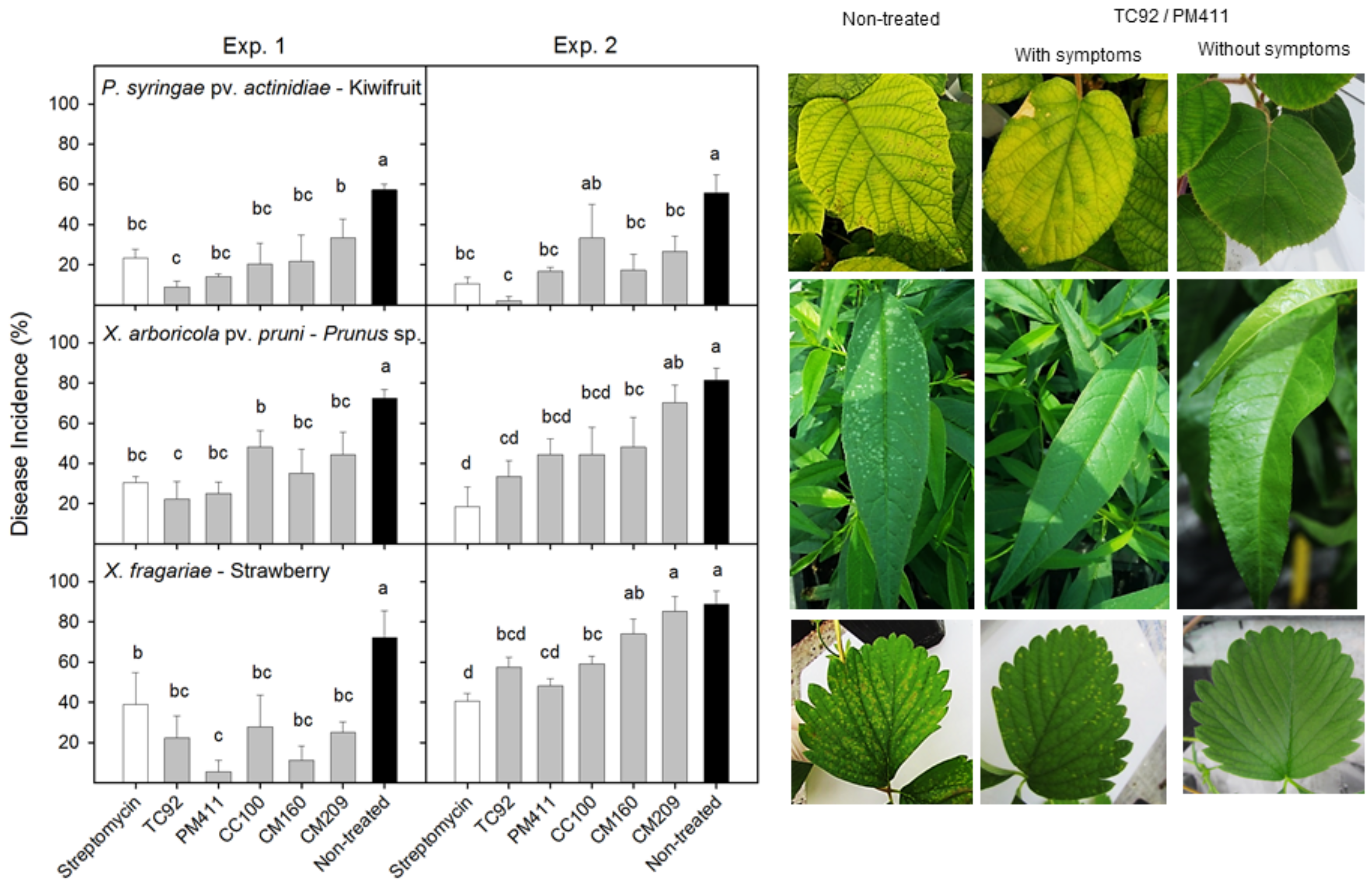 Horticulturae 08 00517 g005