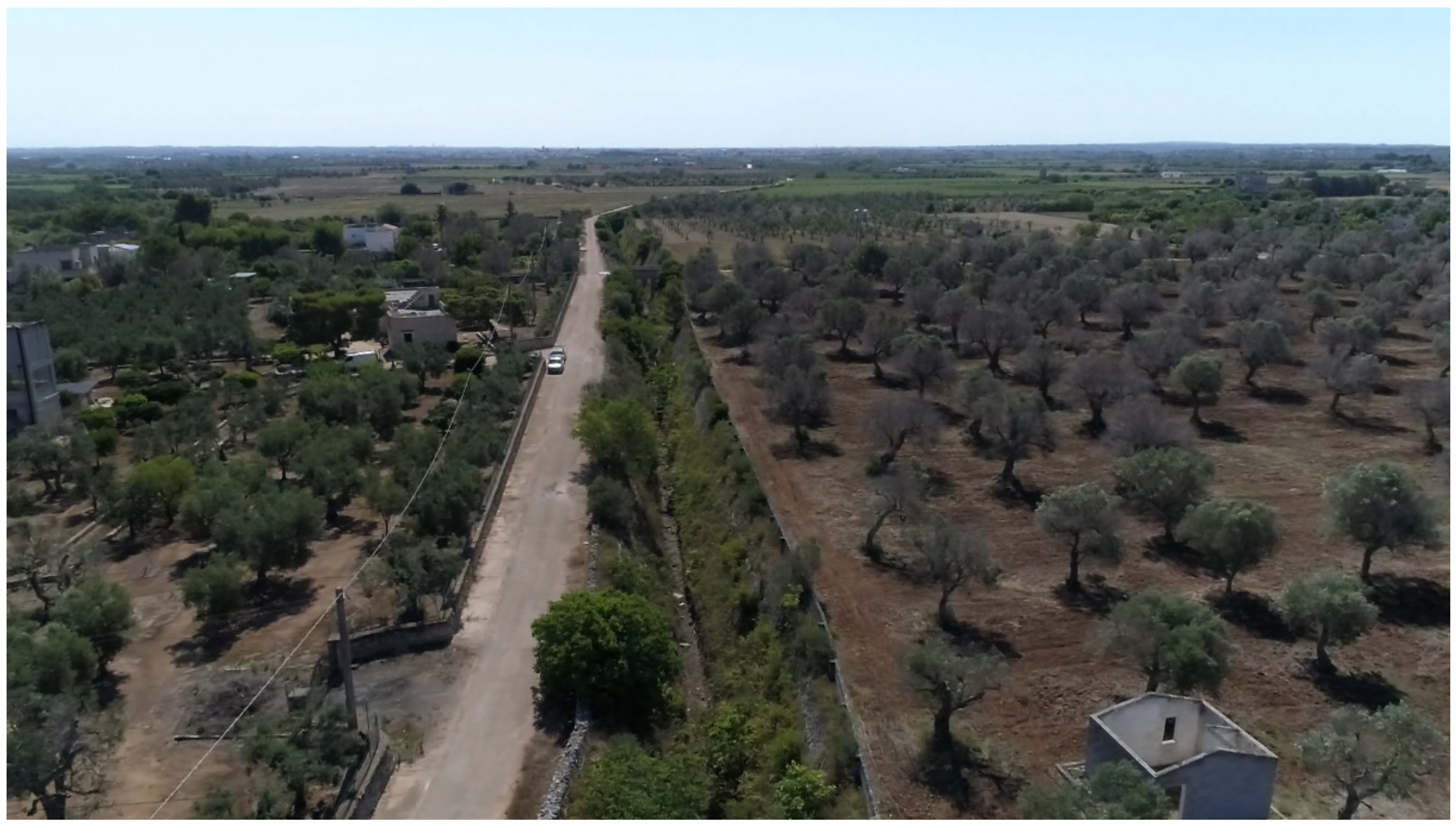 Horticulturae 08 00517 g006