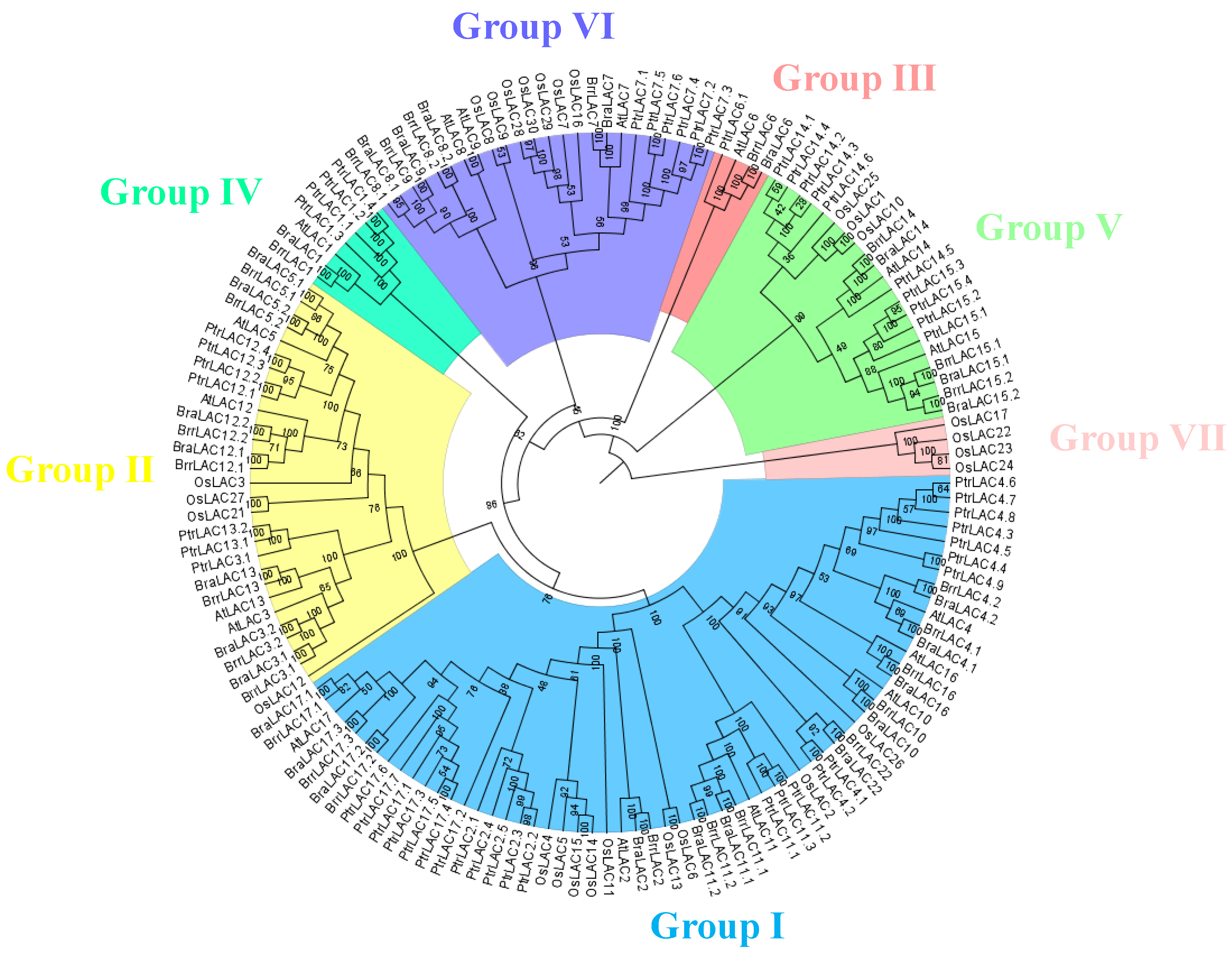Horticulturae 08 00522 g002