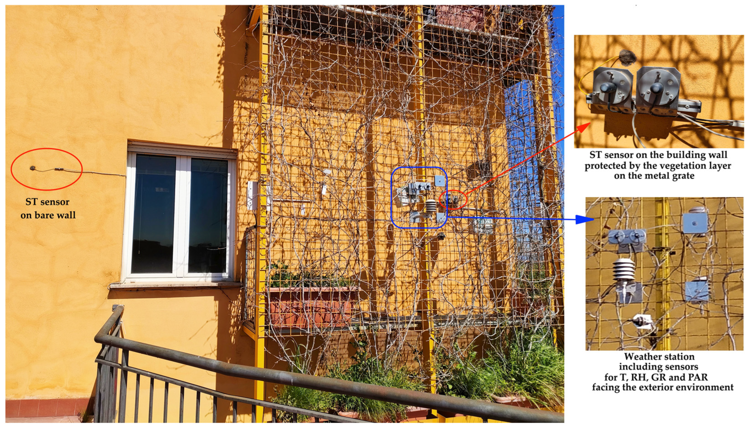 Horticulturae 08 00526 g002 Horticulturae 08 00526 g002